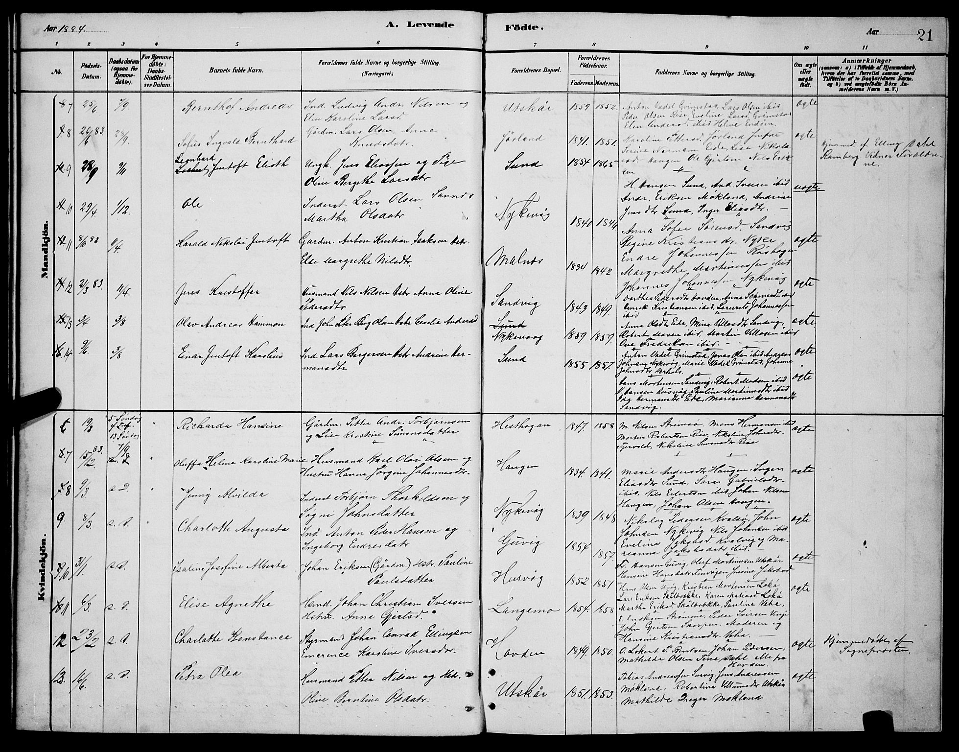 Ministerialprotokoller, klokkerbøker og fødselsregistre - Nordland, AV/SAT-A-1459/892/L1325: Parish register (copy) no. 892C02, 1878-1896, p. 21