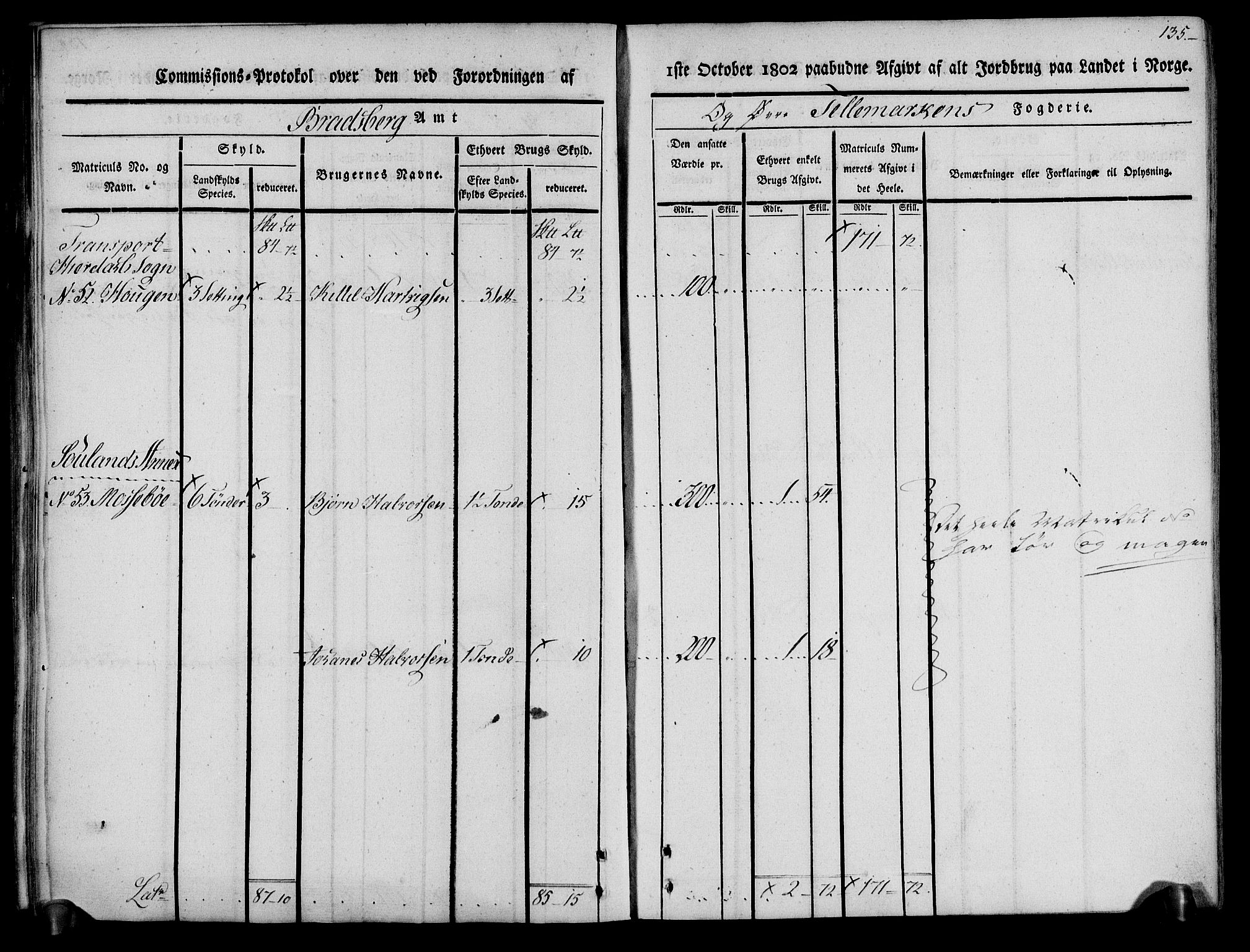 Rentekammeret inntil 1814, Realistisk ordnet avdeling, AV/RA-EA-4070/N/Ne/Nea/L0074: Øvre Telemarken fogderi. Kommisjonsprotokoll for fogderiets østre del - Tinn, Hjartdal og Seljord prestegjeld., 1803, p. 135