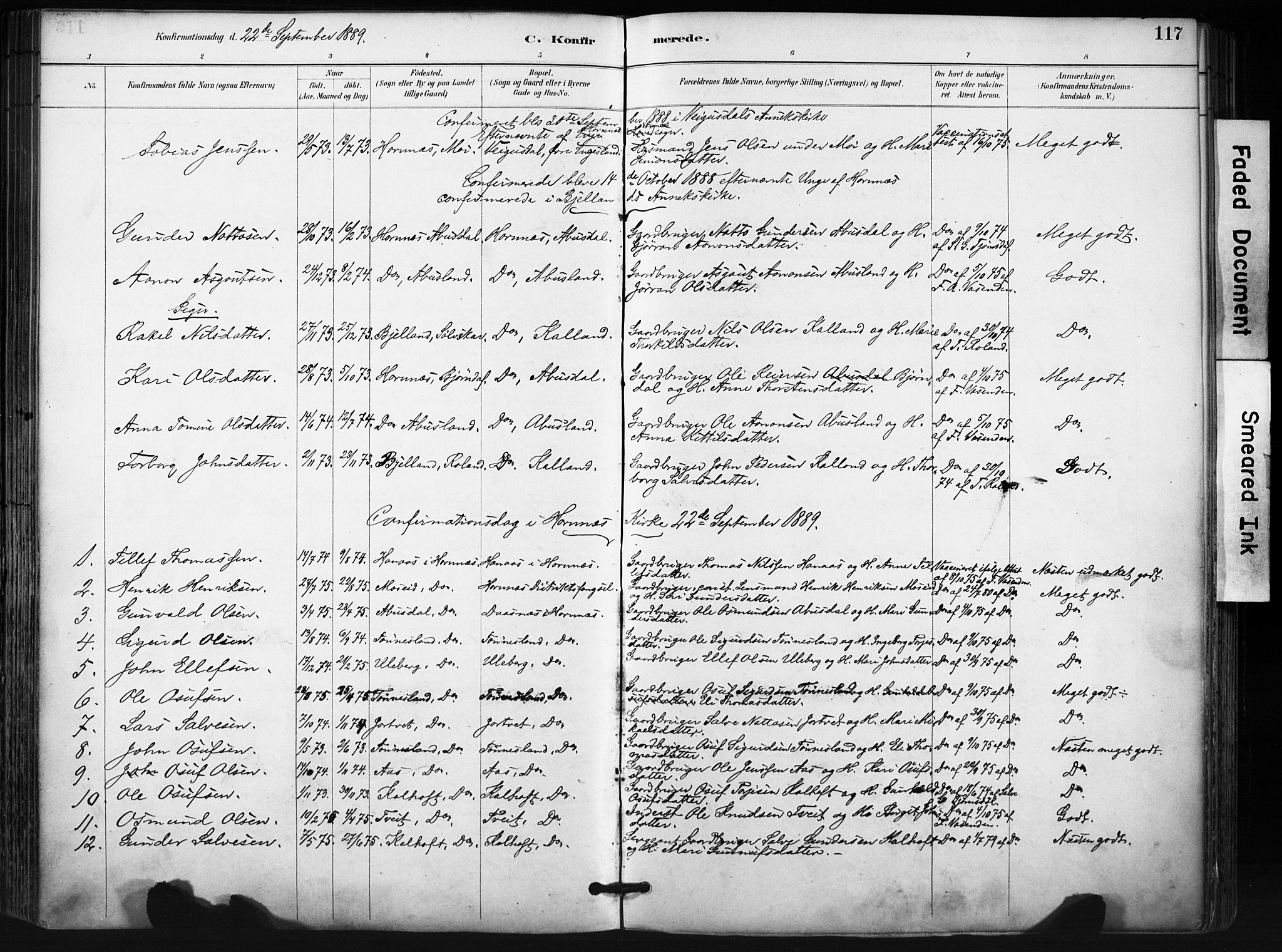 Evje sokneprestkontor, SAK/1111-0008/F/Fa/Fab/L0003: Parish register (official) no. A 3, 1884-1909, p. 117
