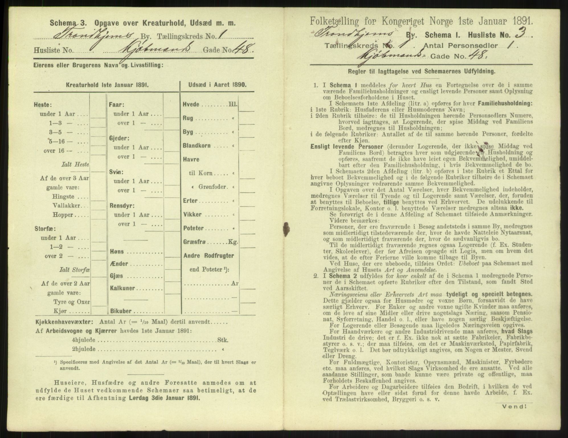 RA, 1891 census for 1601 Trondheim, 1891, p. 94