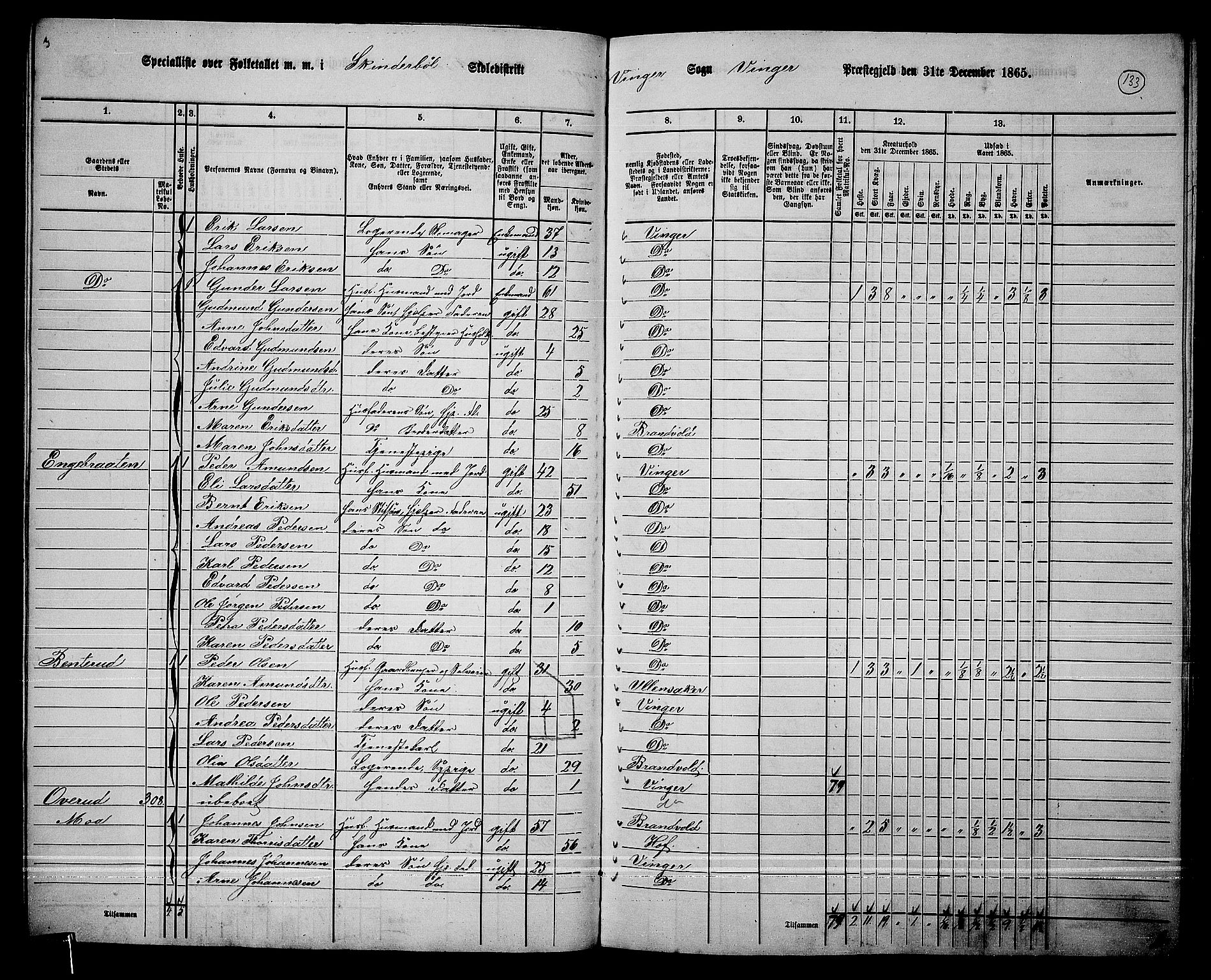 RA, 1865 census for Vinger/Vinger og Austmarka, 1865, p. 121