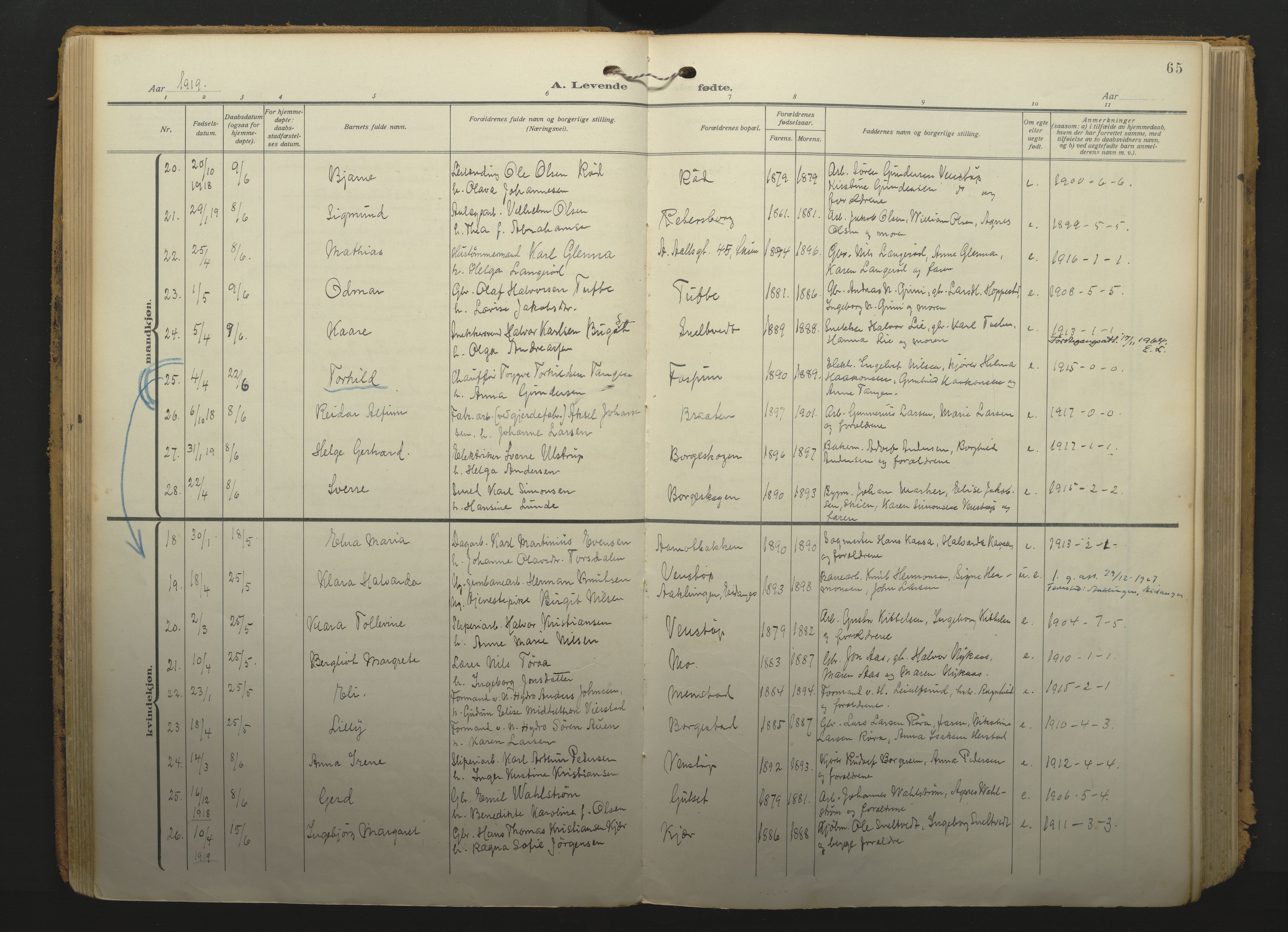 Gjerpen kirkebøker, SAKO/A-265/F/Fa/L0013: Parish register (official) no. I 13, 1914-1924, p. 65