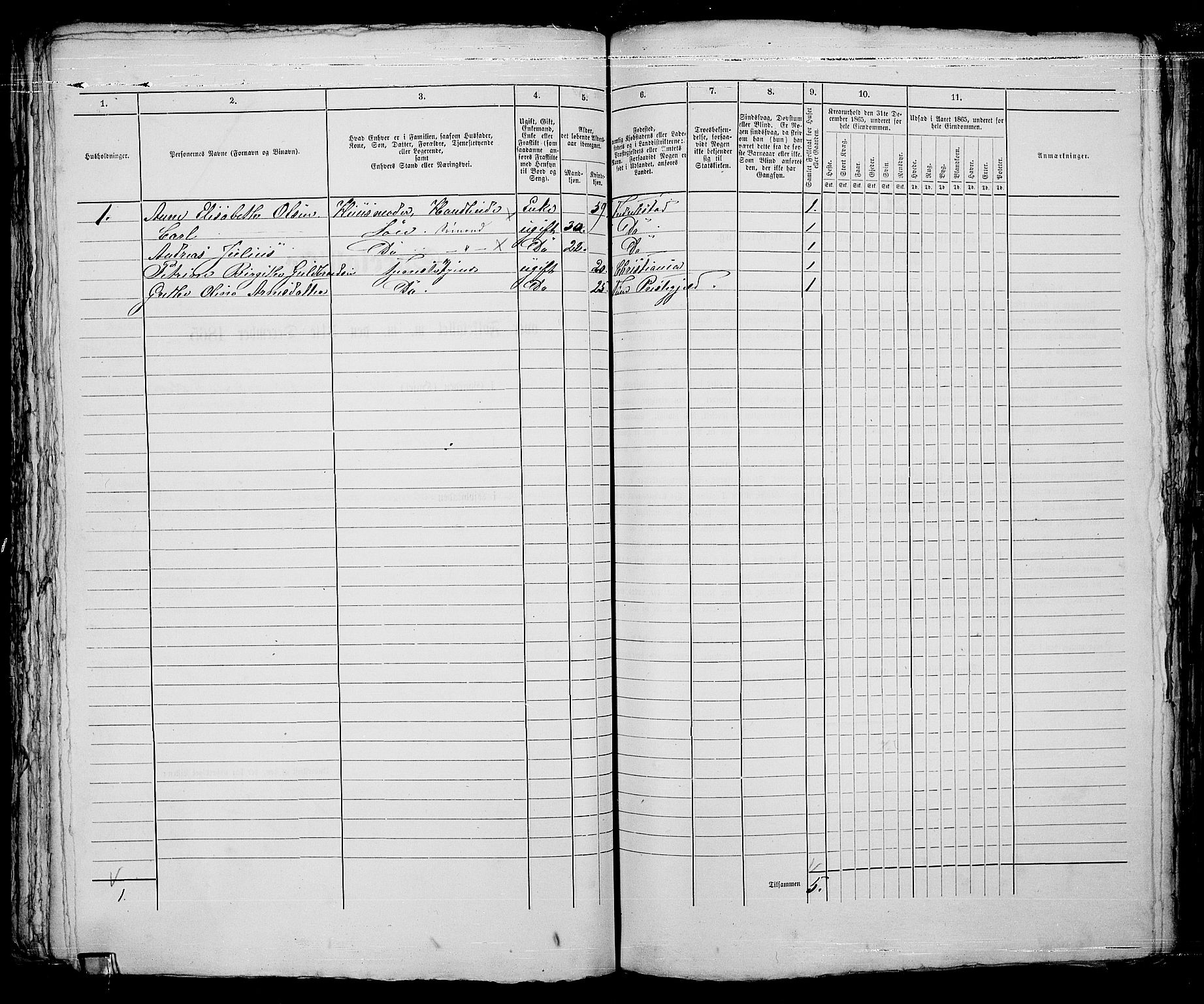 RA, 1865 census for Fredrikstad/Fredrikstad, 1865, p. 533