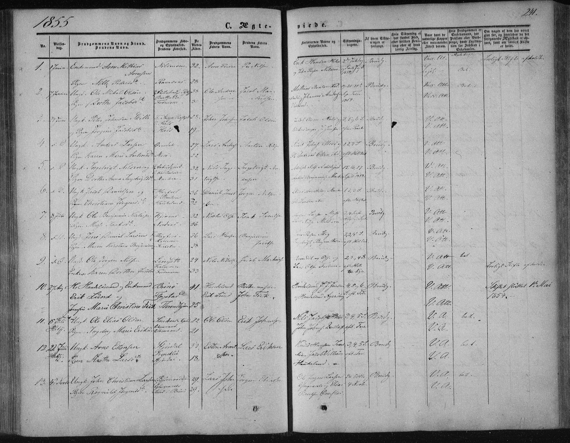 Ministerialprotokoller, klokkerbøker og fødselsregistre - Nordland, SAT/A-1459/820/L0293: Parish register (official) no. 820A14, 1855-1865, p. 241