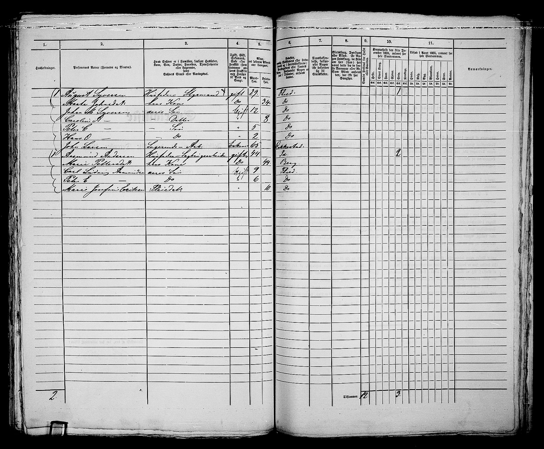 RA, 1865 census for Fredrikshald, 1865, p. 256