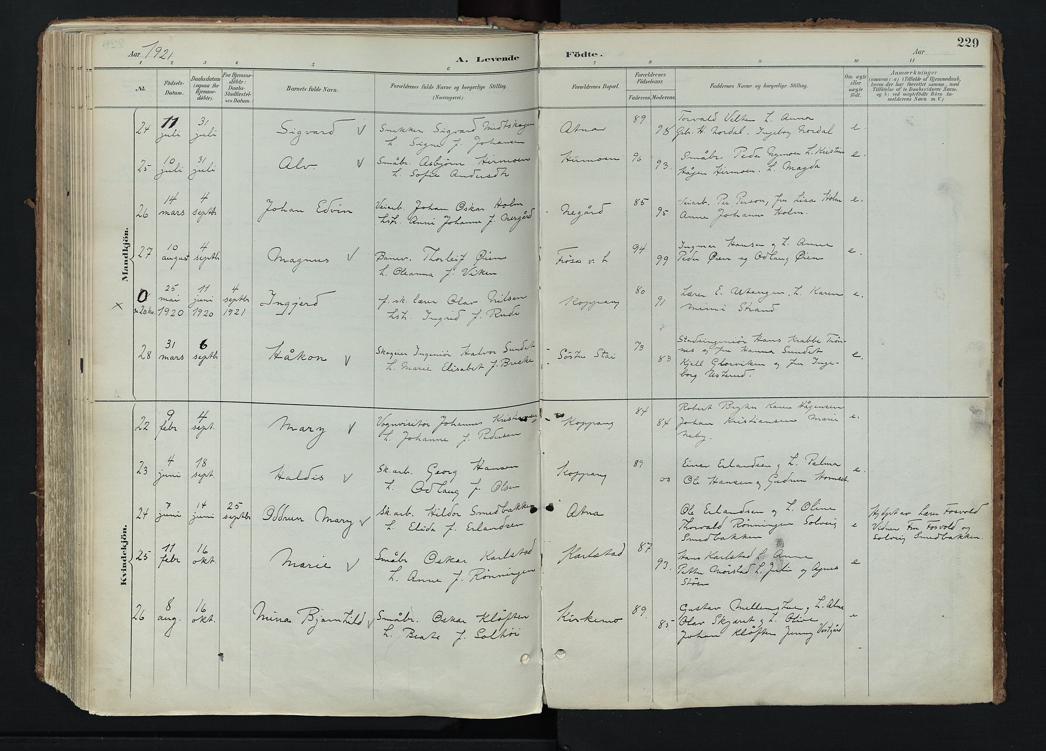 Stor-Elvdal prestekontor, AV/SAH-PREST-052/H/Ha/Haa/L0004: Parish register (official) no. 4, 1890-1922, p. 229