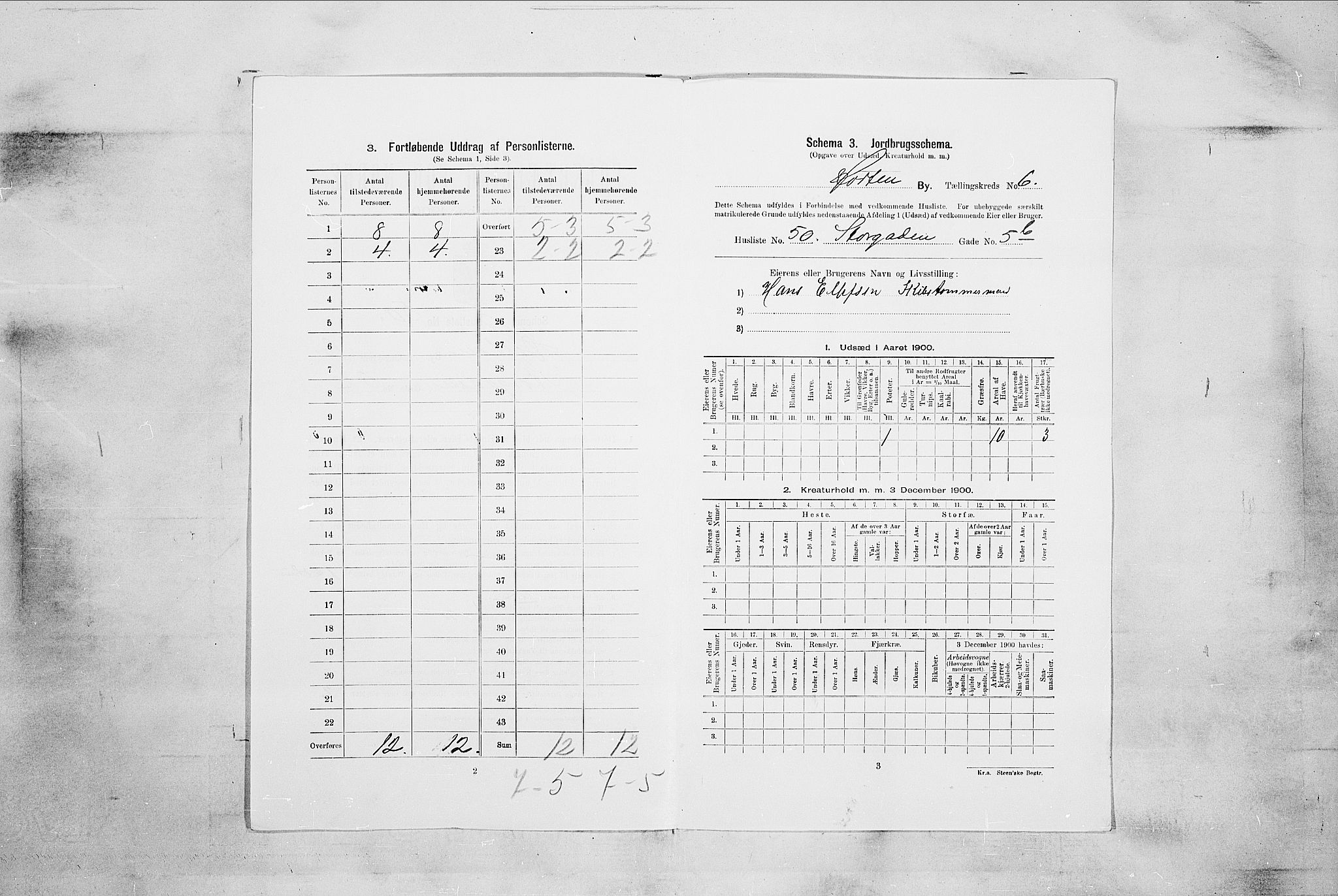 RA, 1900 census for Horten, 1900, p. 4631