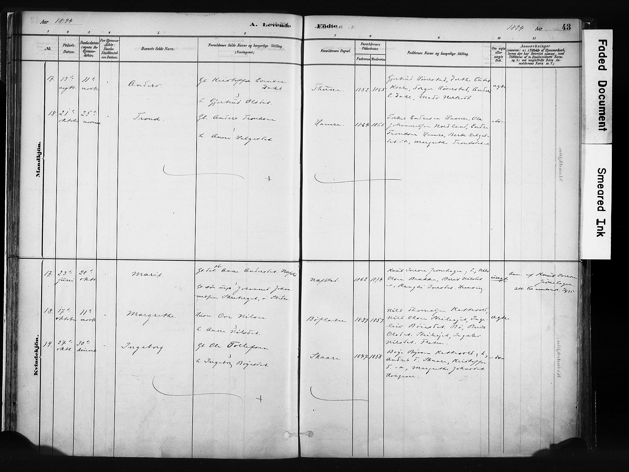 Vang prestekontor, Valdres, SAH/PREST-140/H/Ha/L0008: Parish register (official) no. 8, 1882-1910, p. 43