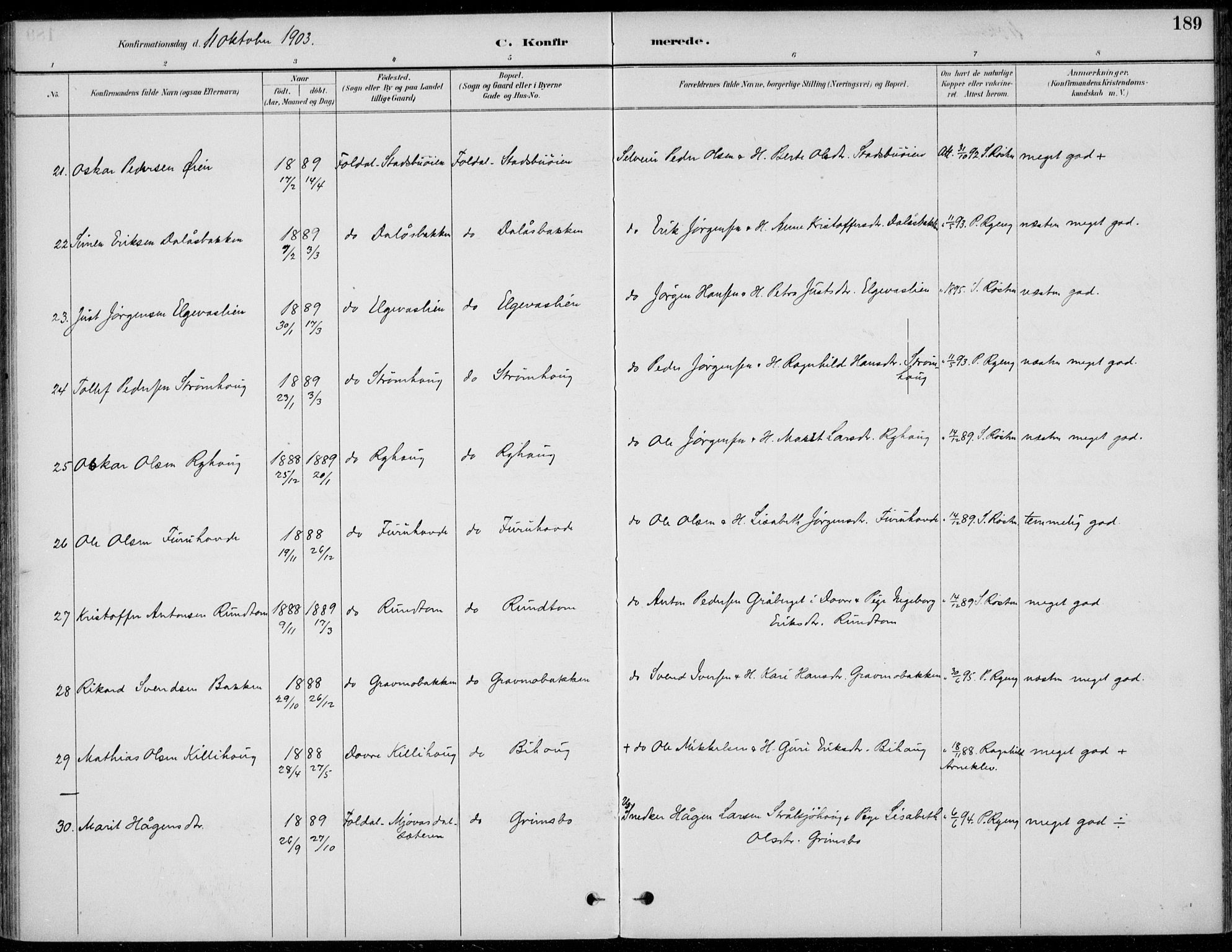 Alvdal prestekontor, AV/SAH-PREST-060/H/Ha/Haa/L0003: Parish register (official) no. 3, 1886-1912, p. 189