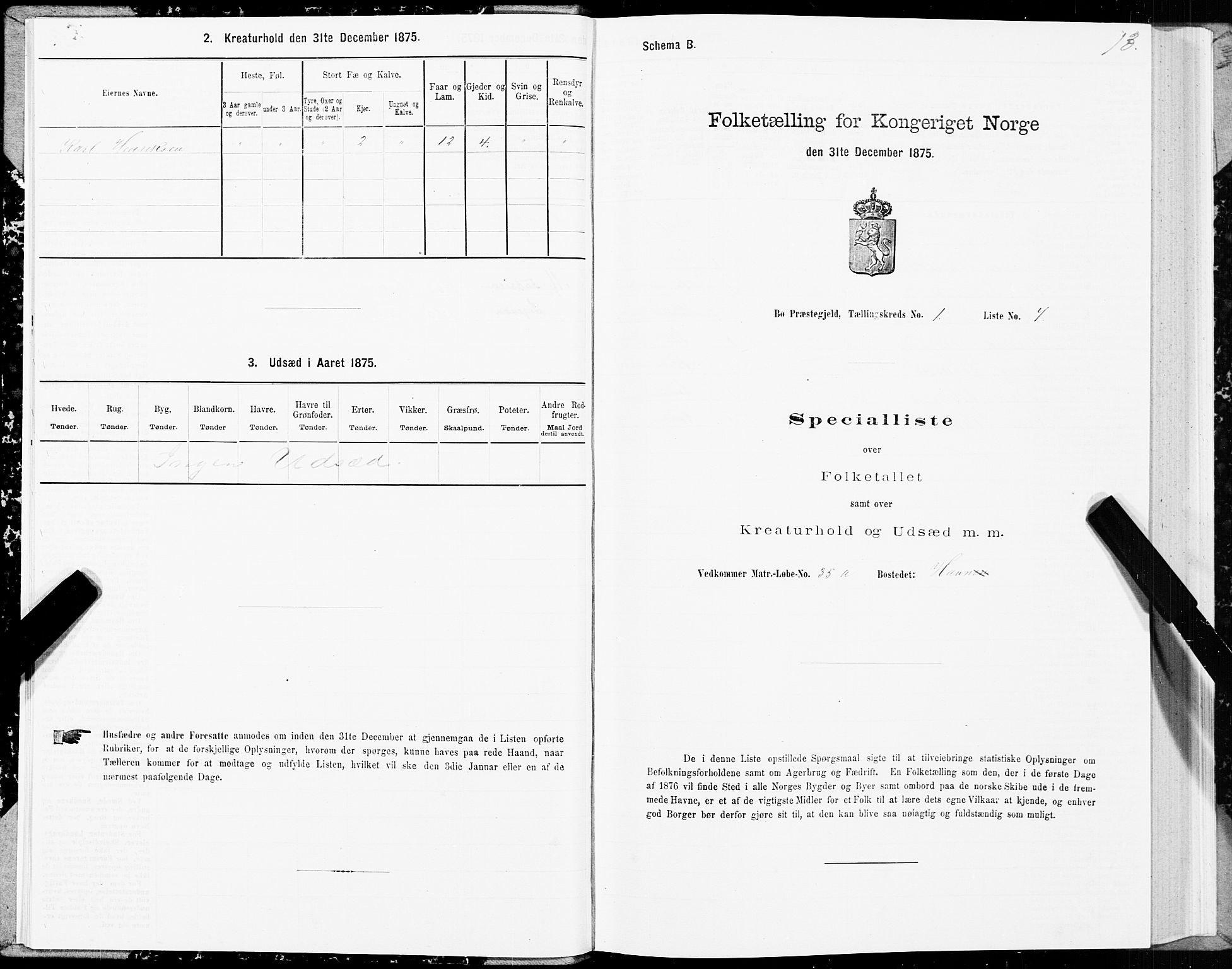 SAT, 1875 census for 1867P Bø, 1875, p. 1013