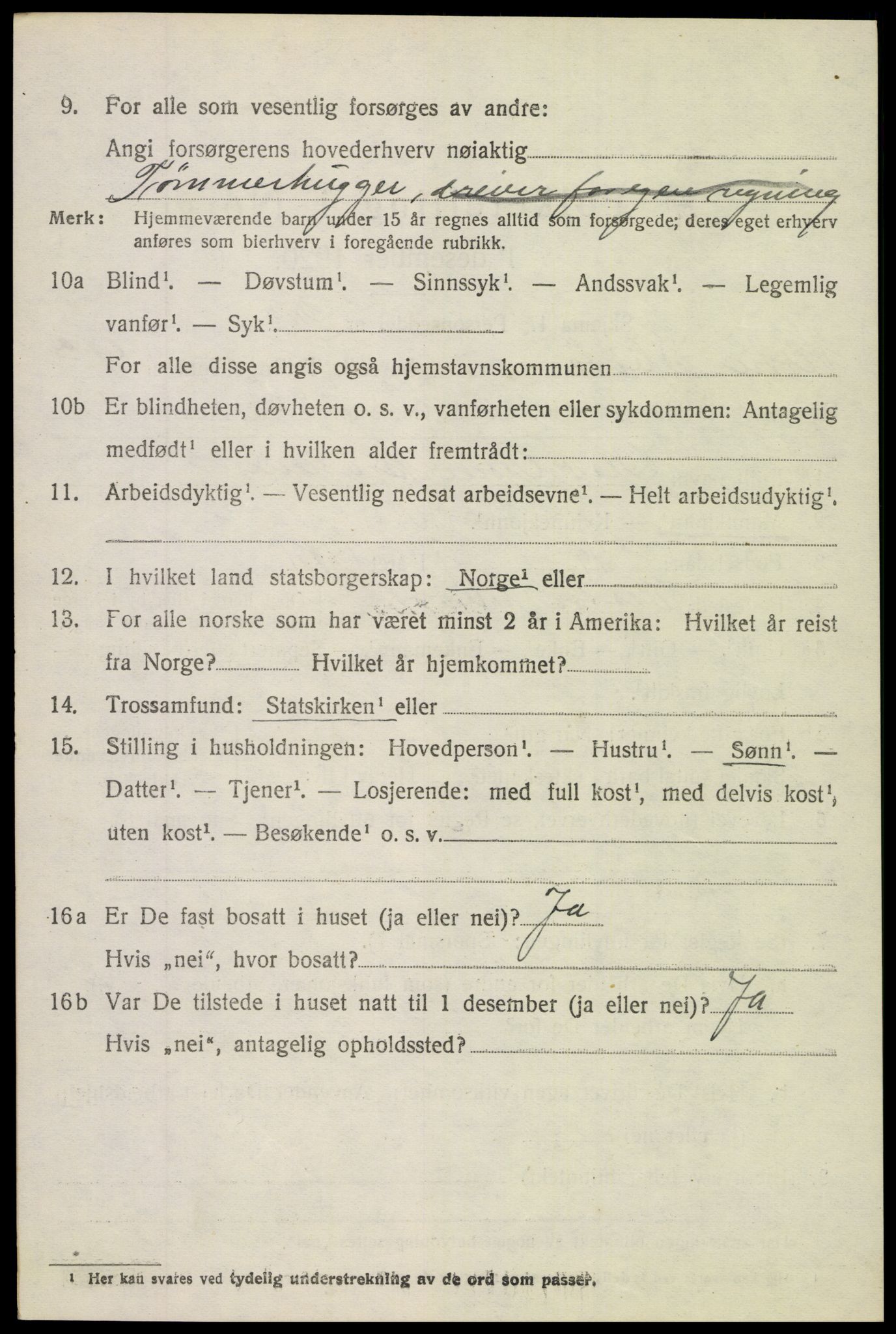 SAH, 1920 census for Vestre Slidre, 1920, p. 5061