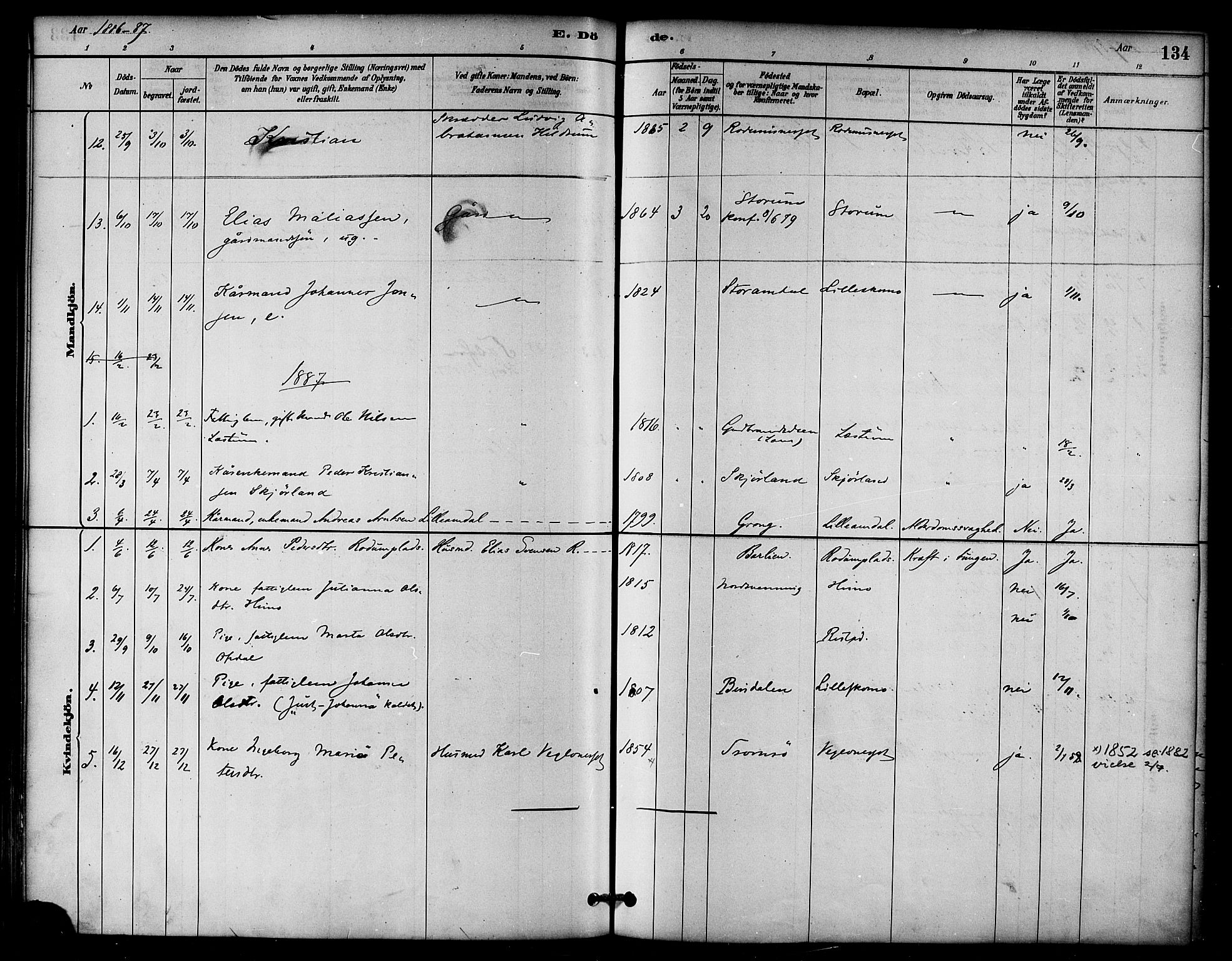 Ministerialprotokoller, klokkerbøker og fødselsregistre - Nord-Trøndelag, SAT/A-1458/764/L0555: Parish register (official) no. 764A10, 1881-1896, p. 134
