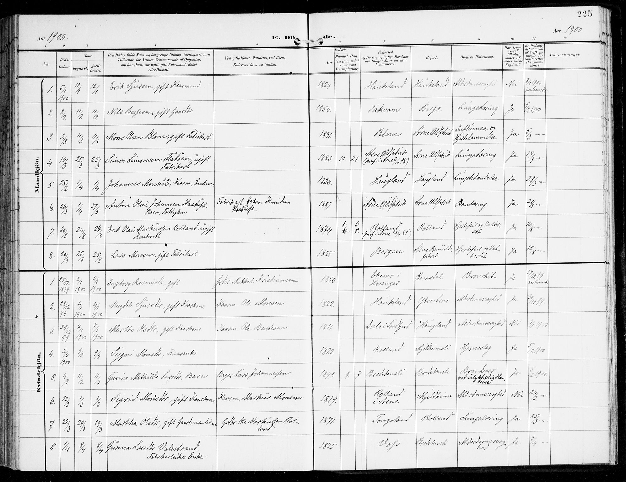 Haus sokneprestembete, AV/SAB-A-75601/H/Haa: Parish register (official) no. D 2, 1899-1912, p. 225