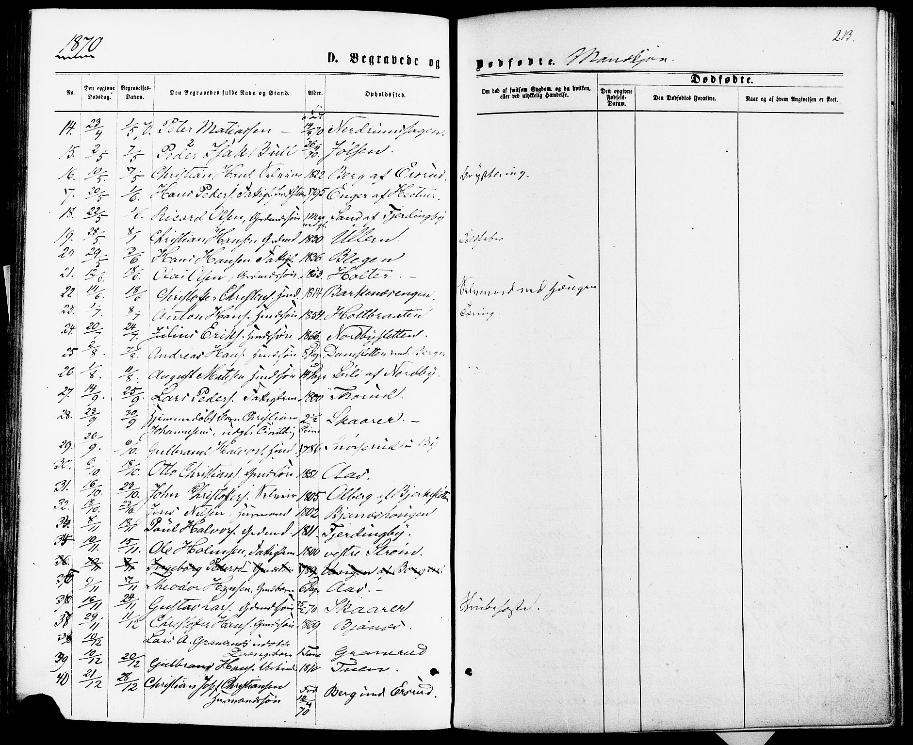 Fet prestekontor Kirkebøker, AV/SAO-A-10370a/F/Fa/L0013: Parish register (official) no. I 13, 1867-1877, p. 213