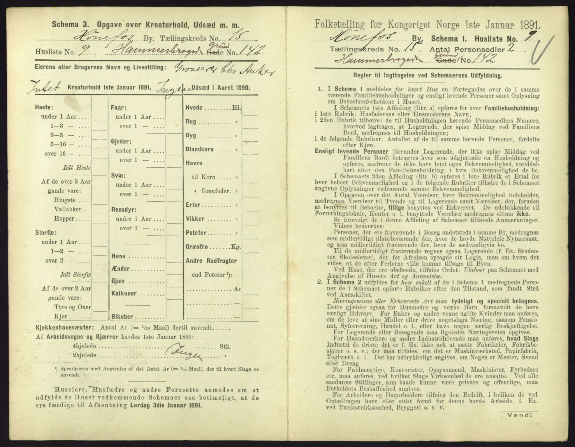 RA, 1891 census for 0601 Hønefoss, 1891, p. 335