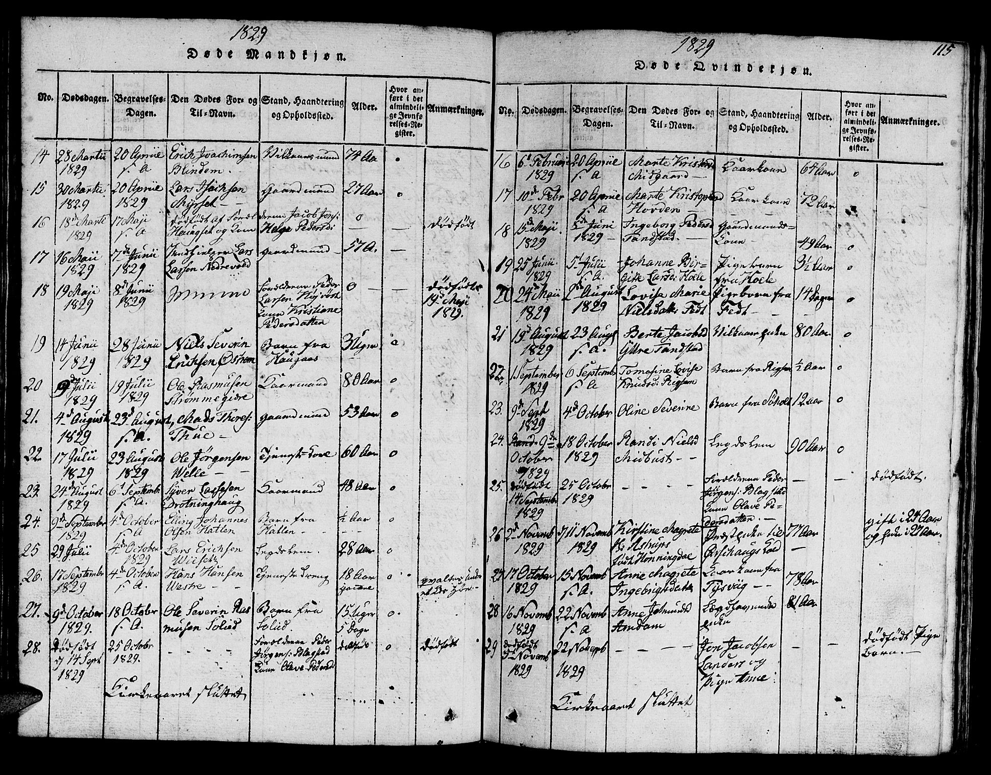 Ministerialprotokoller, klokkerbøker og fødselsregistre - Møre og Romsdal, AV/SAT-A-1454/522/L0322: Parish register (copy) no. 522C01, 1816-1830, p. 115