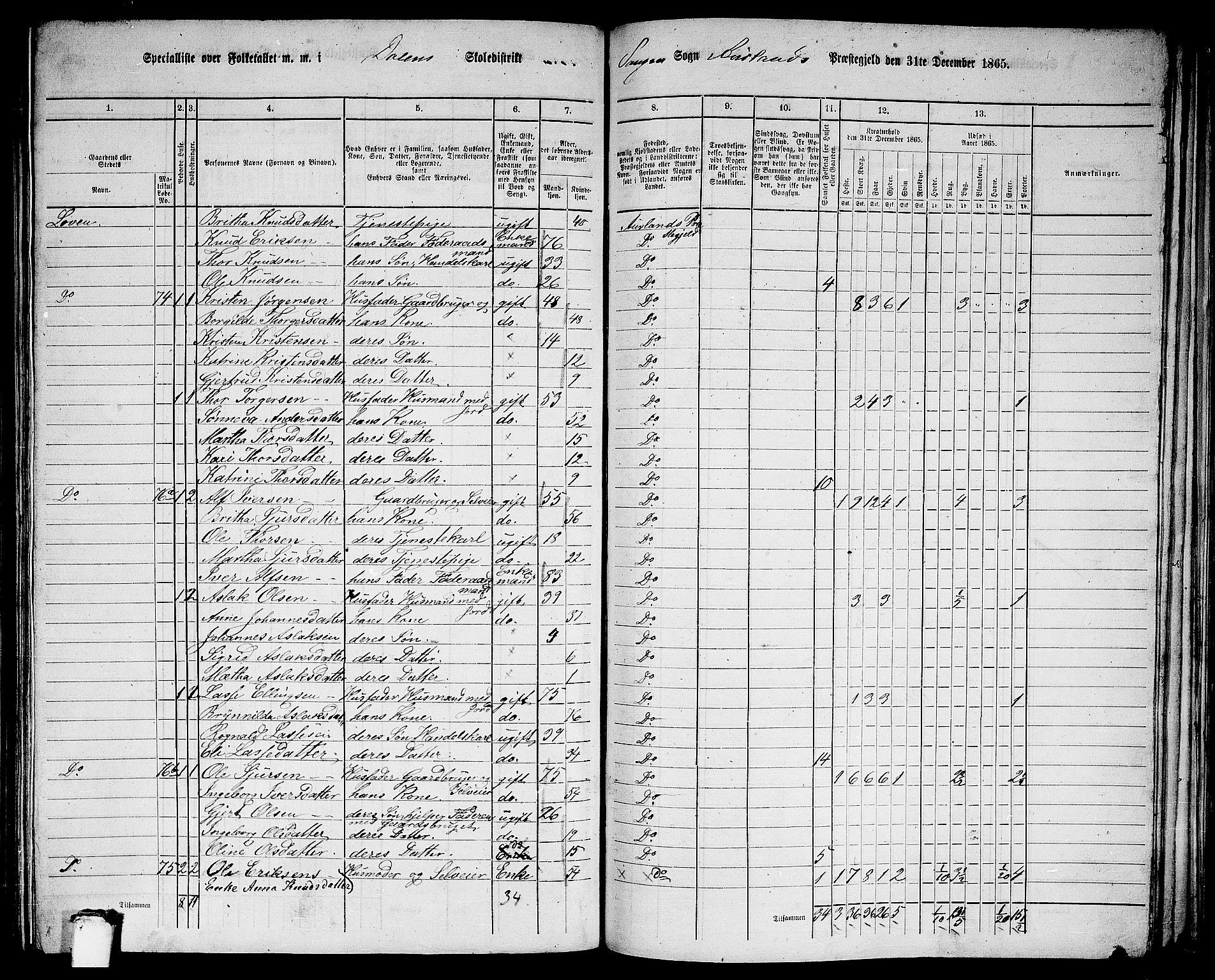 RA, 1865 census for Aurland, 1865, p. 41