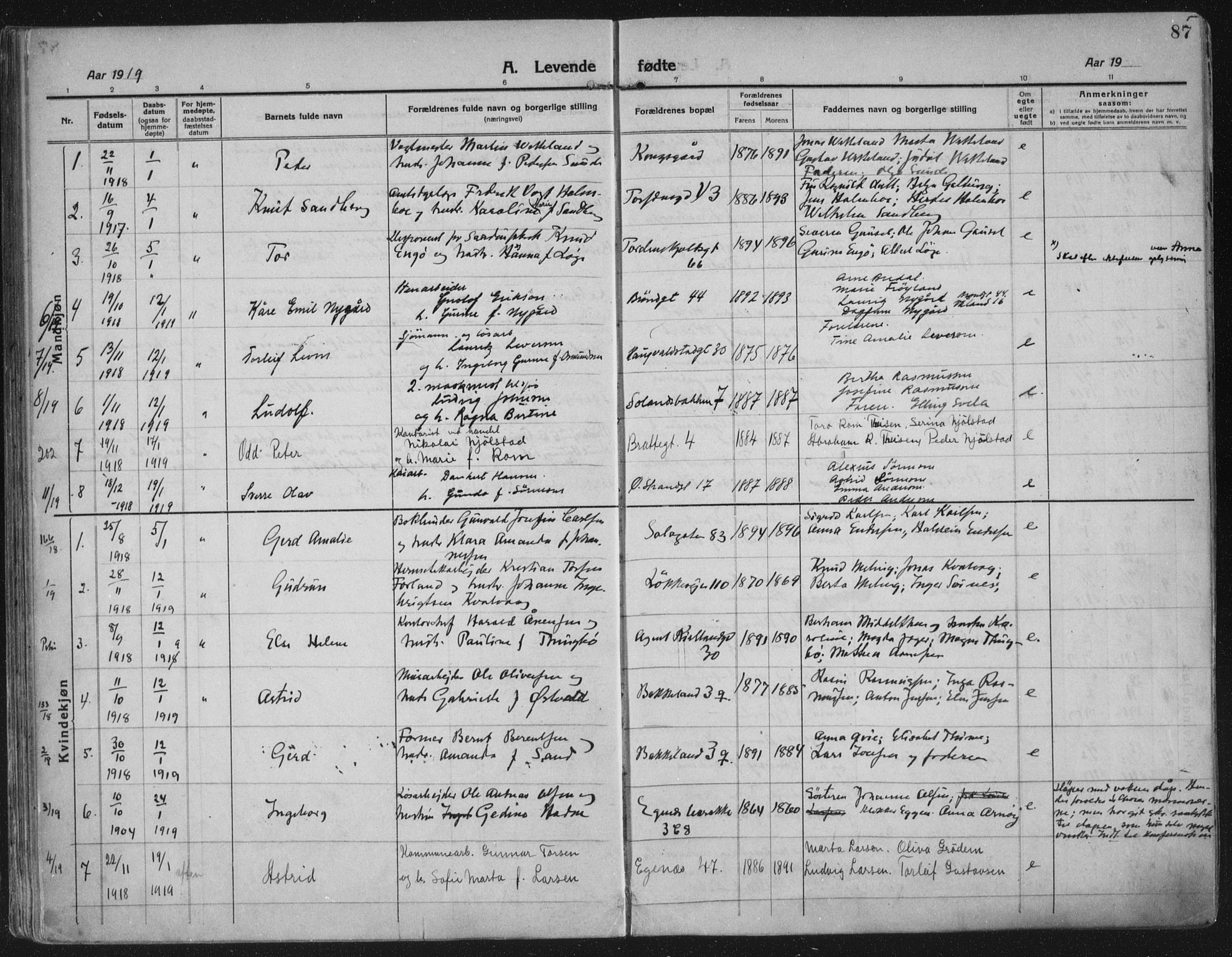 Domkirken sokneprestkontor, SAST/A-101812/002/A/L0018: Parish register (official) no. A 34, 1915-1929, p. 87