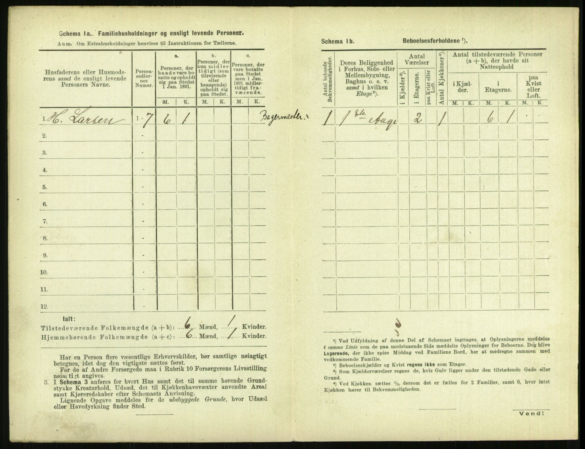 RA, 1891 census for 0806 Skien, 1891, p. 1043