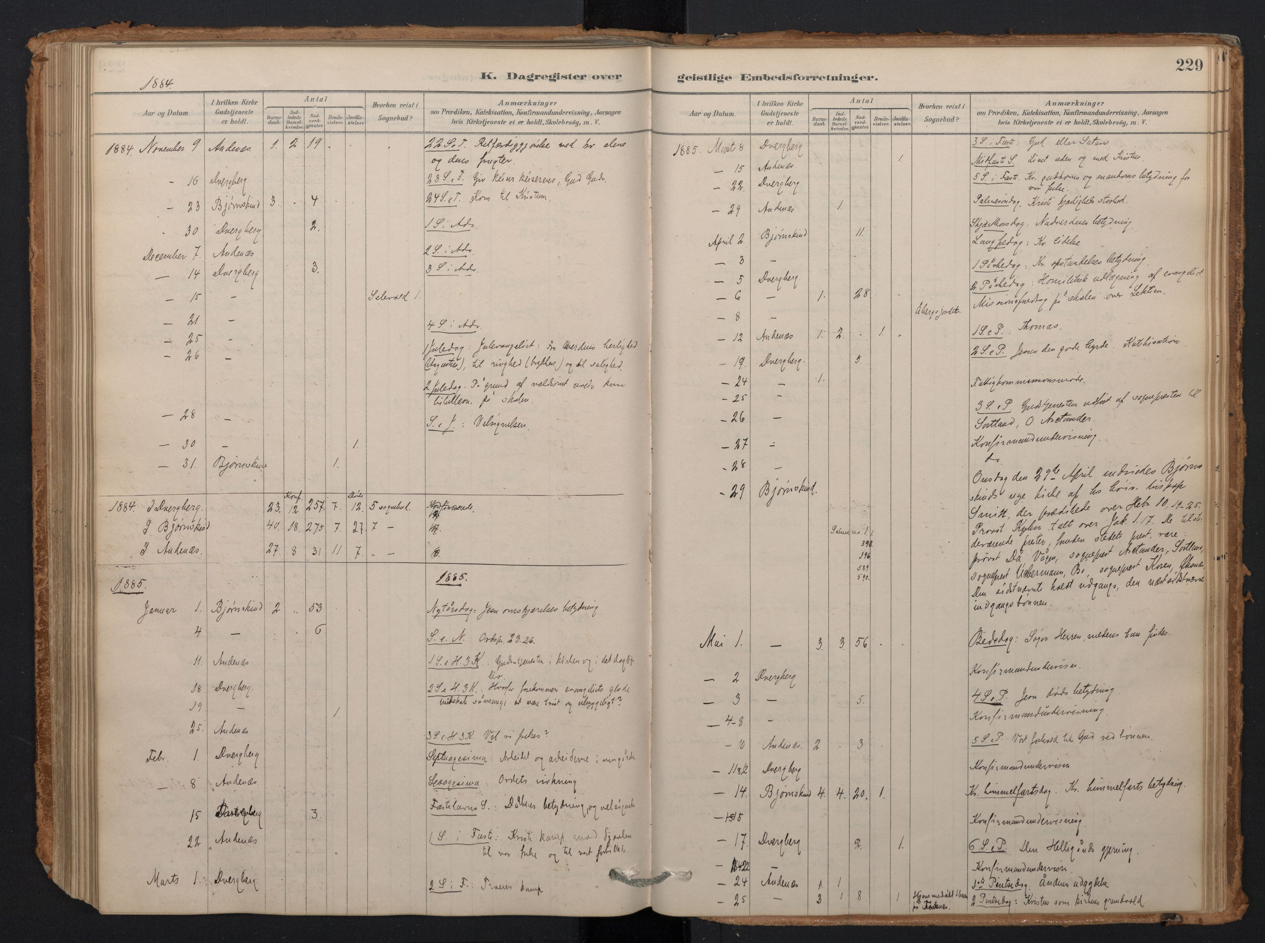 Ministerialprotokoller, klokkerbøker og fødselsregistre - Nordland, AV/SAT-A-1459/897/L1399: Parish register (official) no. 897A06, 1881-1896, p. 229