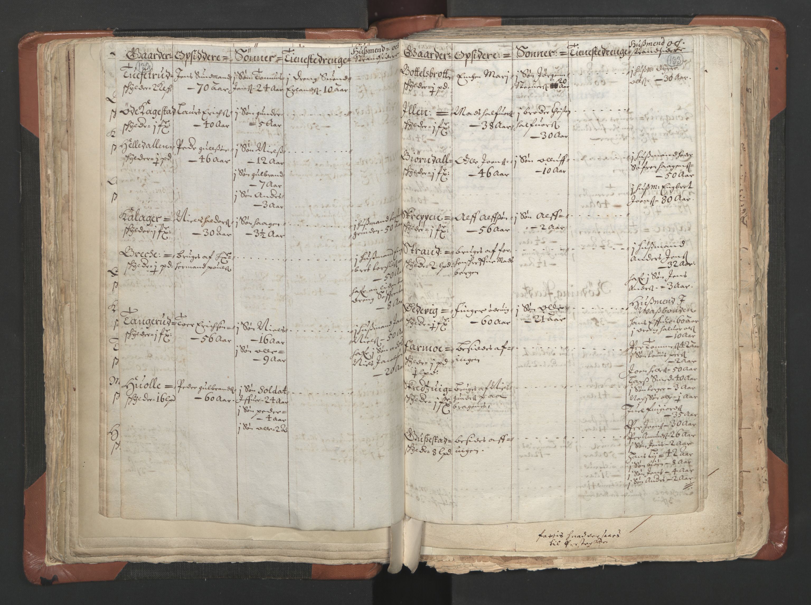 RA, Vicar's Census 1664-1666, no. 9: Bragernes deanery, 1664-1666, p. 132-133