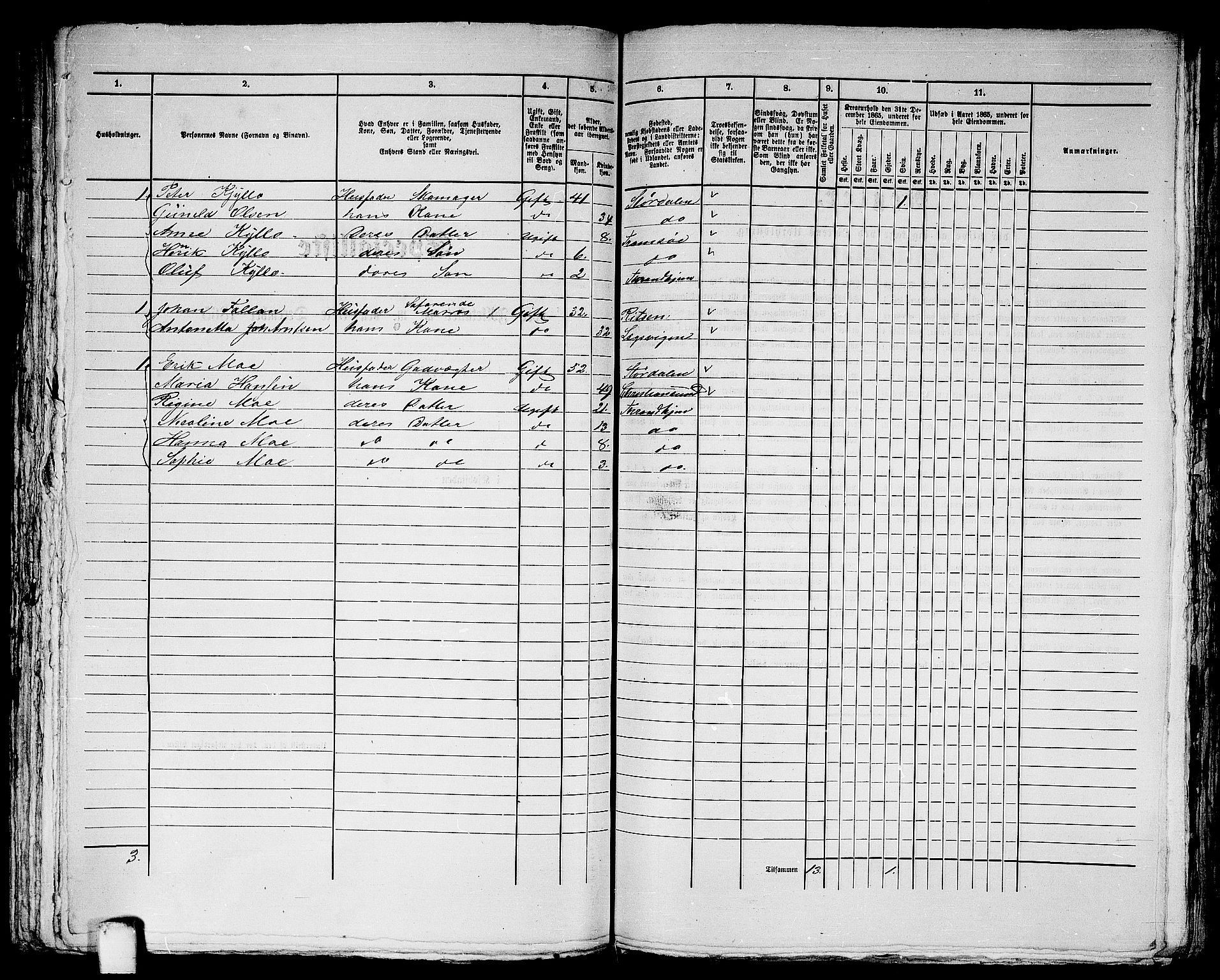 RA, 1865 census for Trondheim, 1865, p. 2880