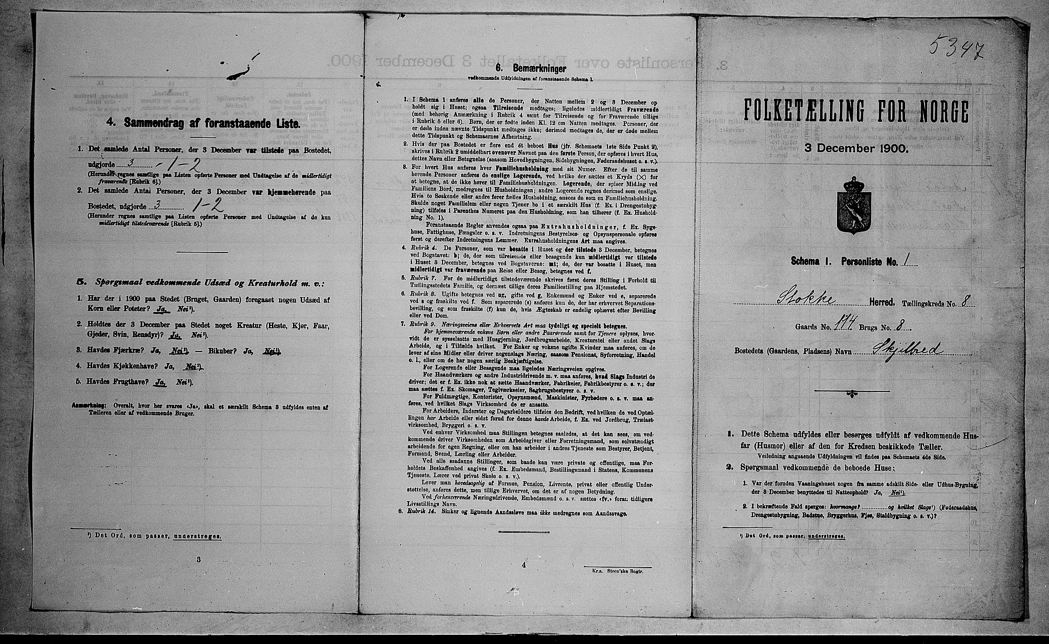 RA, 1900 census for Stokke, 1900, p. 1401