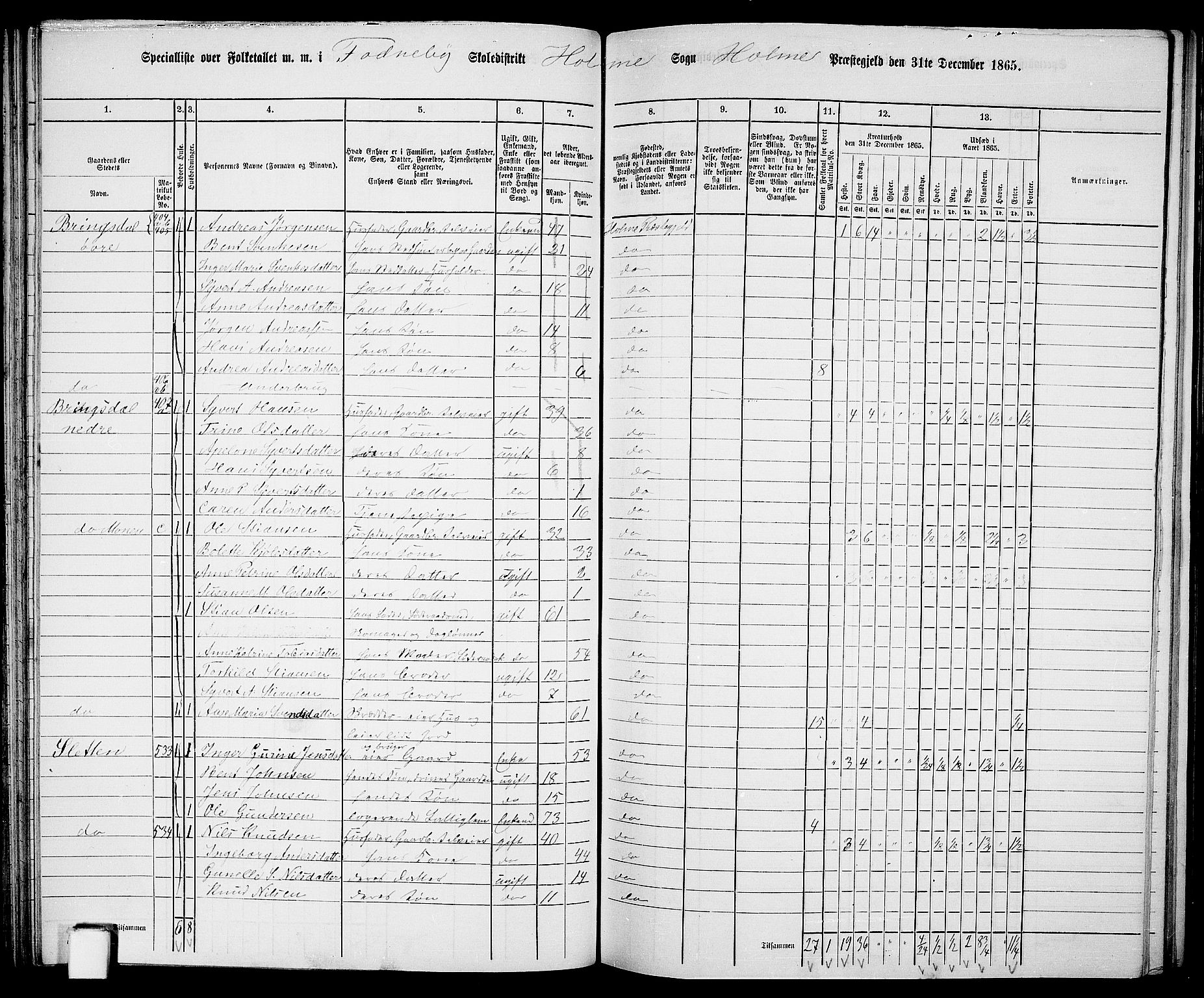 RA, 1865 census for Holum, 1865, p. 60