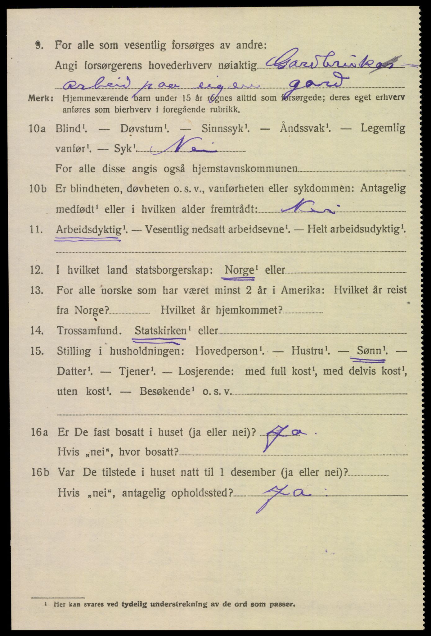 SAK, 1920 census for Bykle, 1920, p. 602