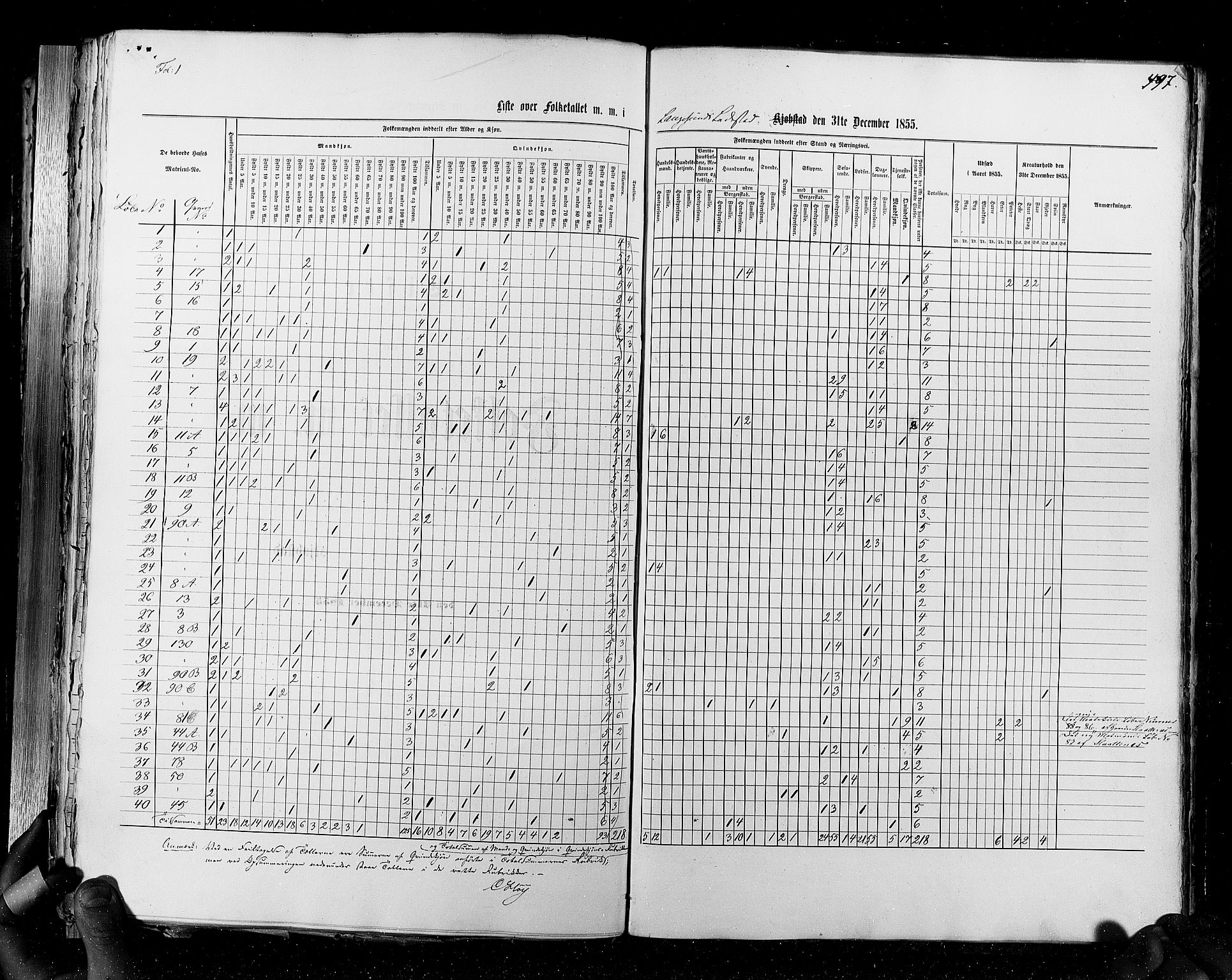 RA, Census 1855, vol. 7: Fredrikshald-Kragerø, 1855, p. 497