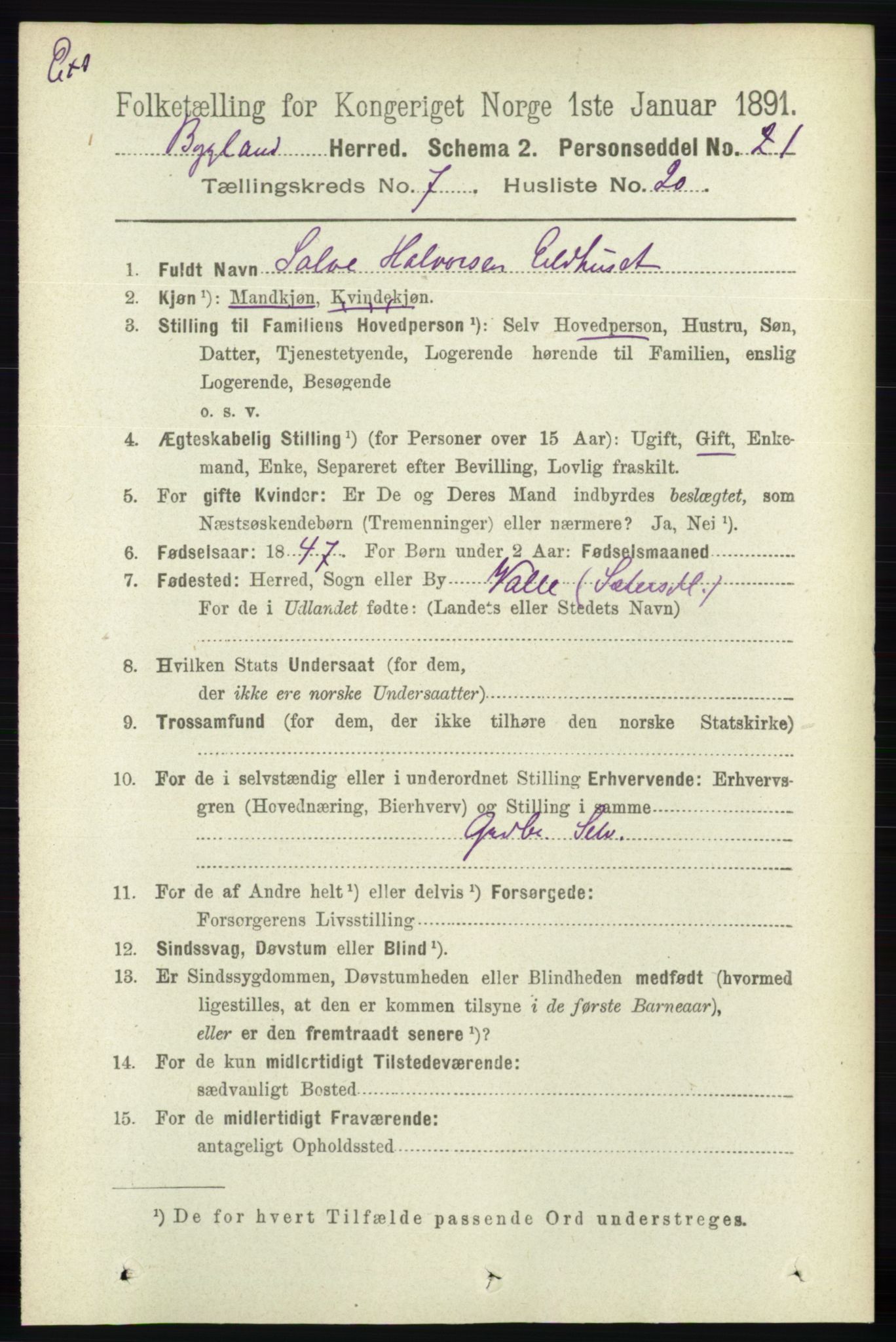 RA, Census 1891 for Nedenes amt: Gjenparter av personsedler for beslektede ektefeller, menn, 1891, p. 1031