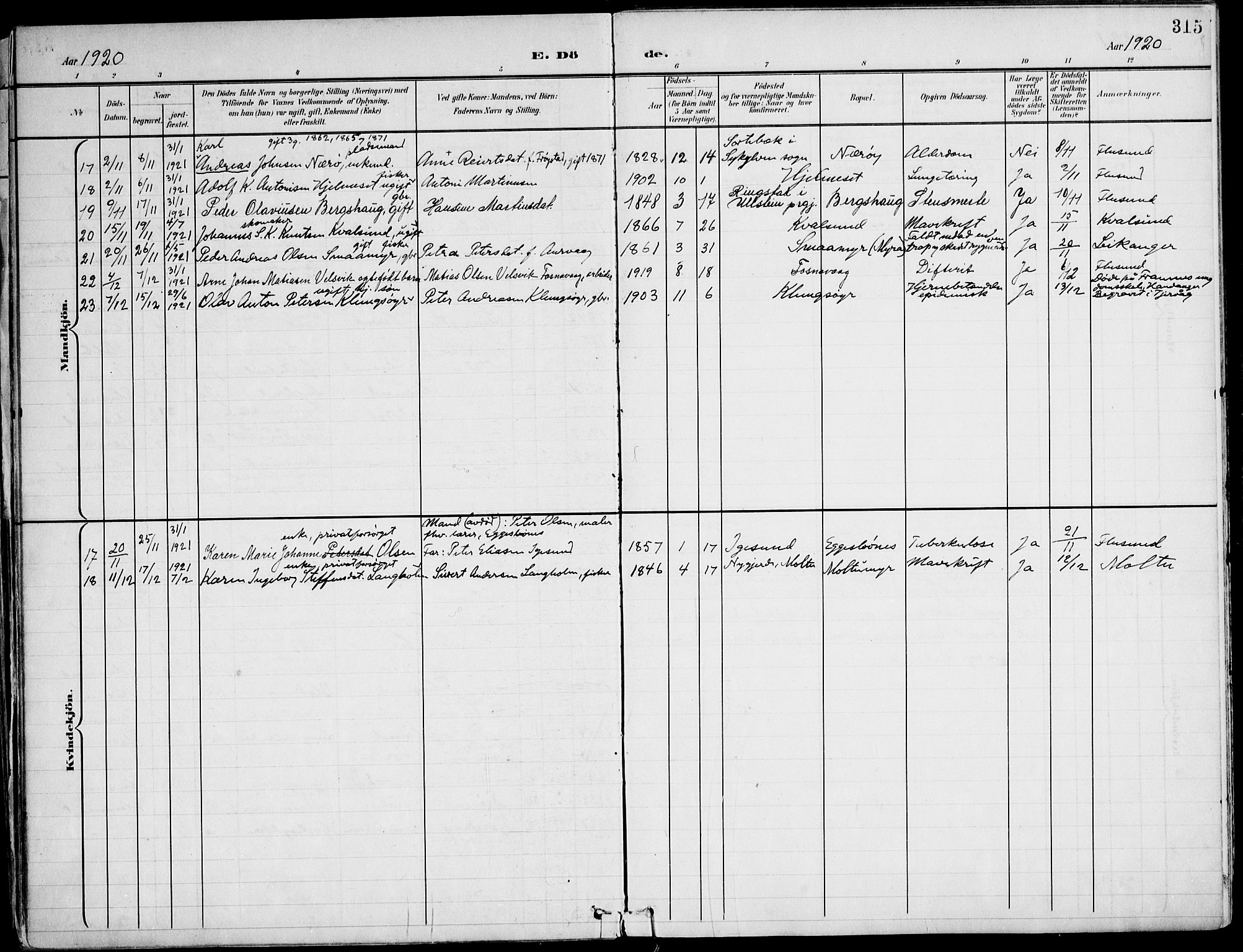 Ministerialprotokoller, klokkerbøker og fødselsregistre - Møre og Romsdal, AV/SAT-A-1454/507/L0075: Parish register (official) no. 507A10, 1901-1920, p. 315