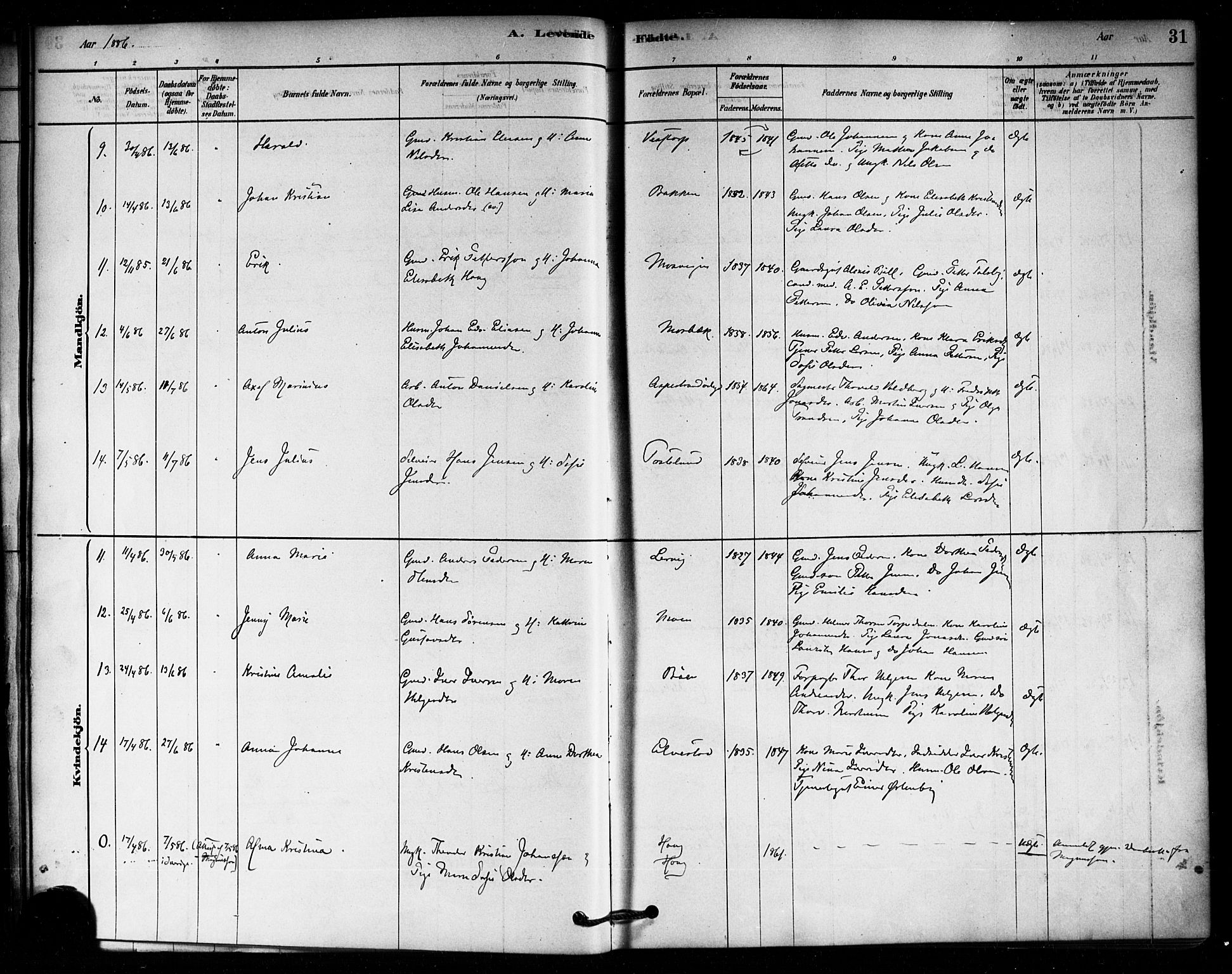 Aremark prestekontor Kirkebøker, SAO/A-10899/F/Fa/L0005: Parish register (official) no. I 5, 1878-1897, p. 31