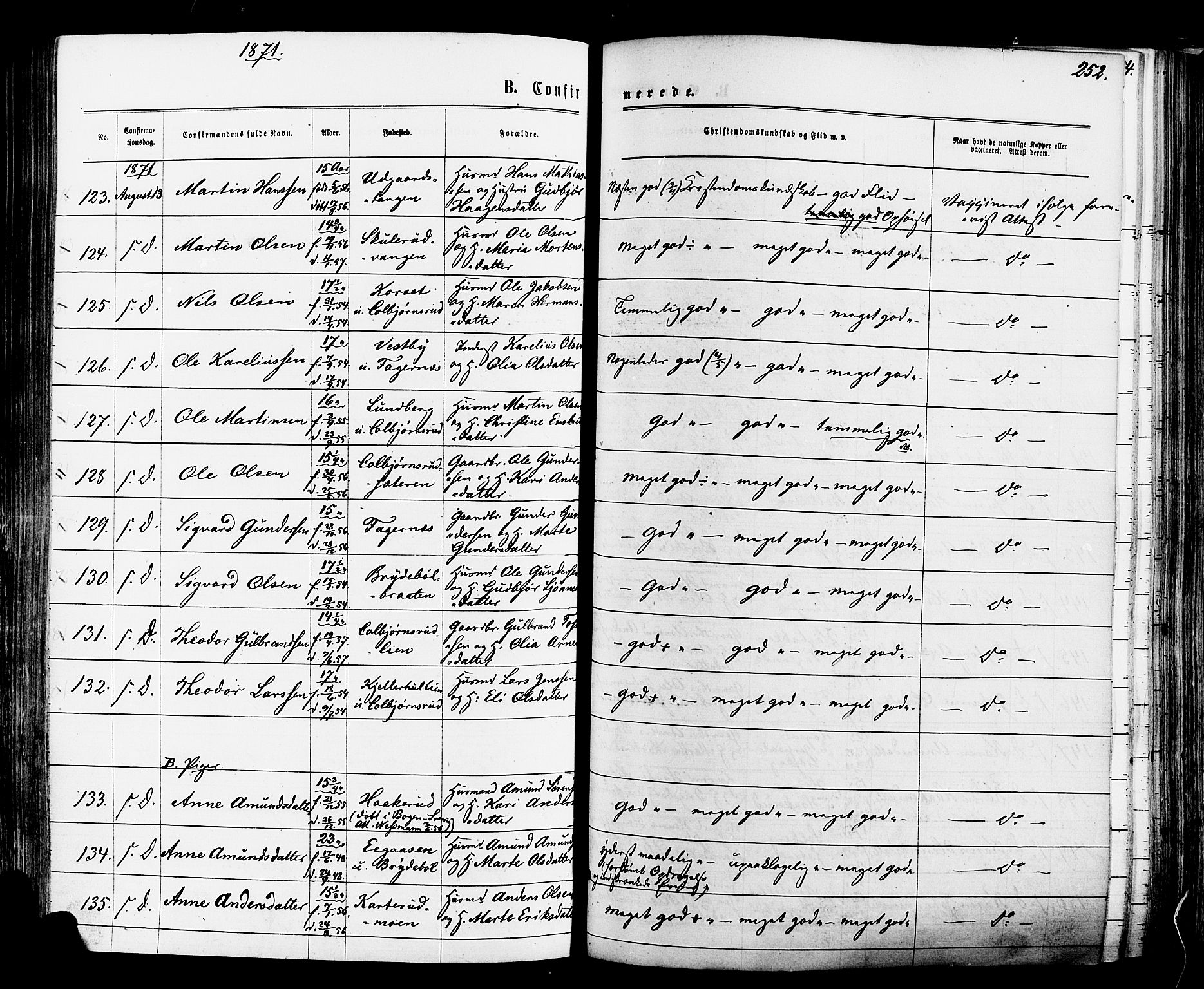 Vinger prestekontor, AV/SAH-PREST-024/H/Ha/Haa/L0012: Parish register (official) no. 12, 1871-1880, p. 252