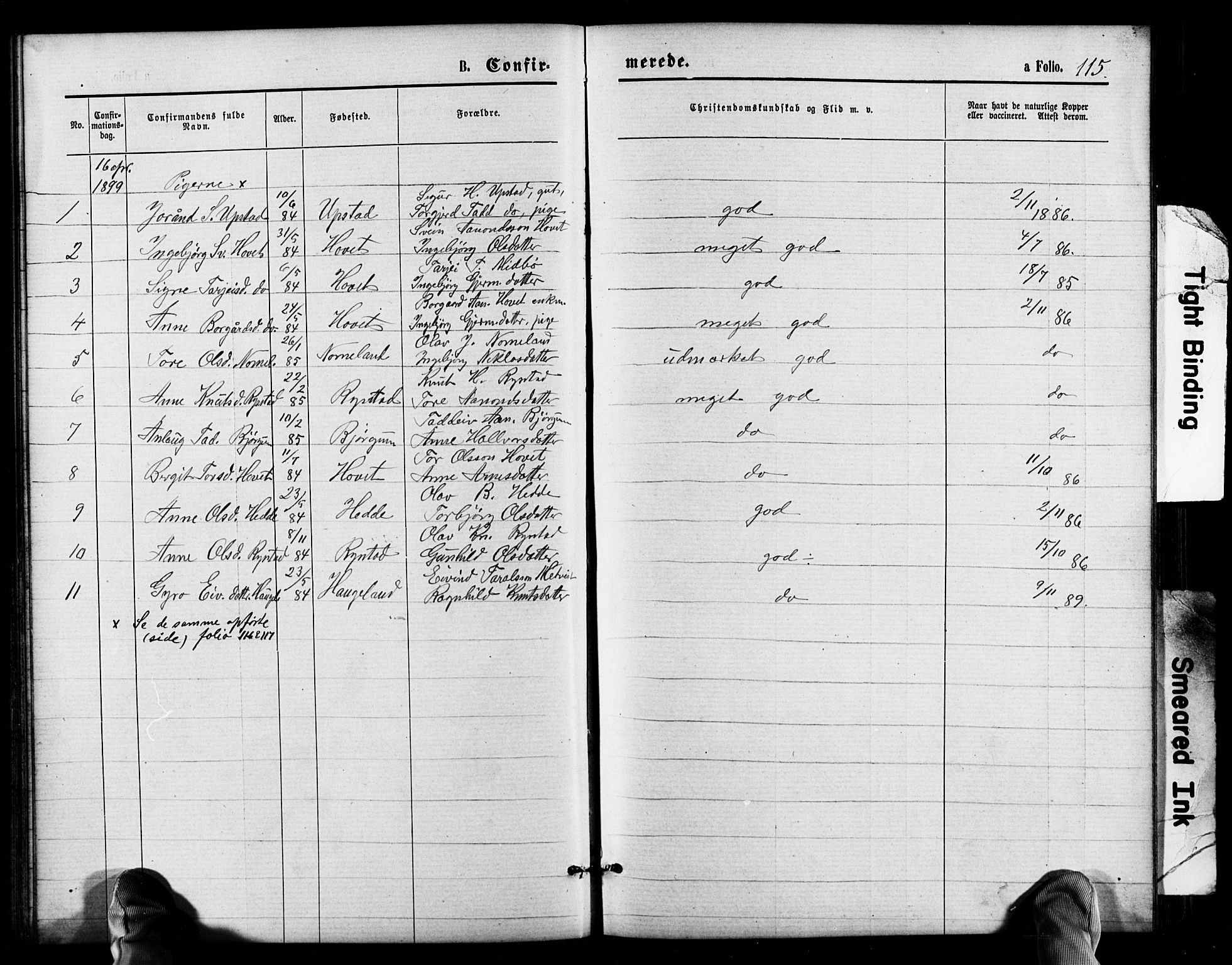 Valle sokneprestkontor, SAK/1111-0044/F/Fb/Fbb/L0002: Parish register (copy) no. B 2, 1875-1921, p. 115