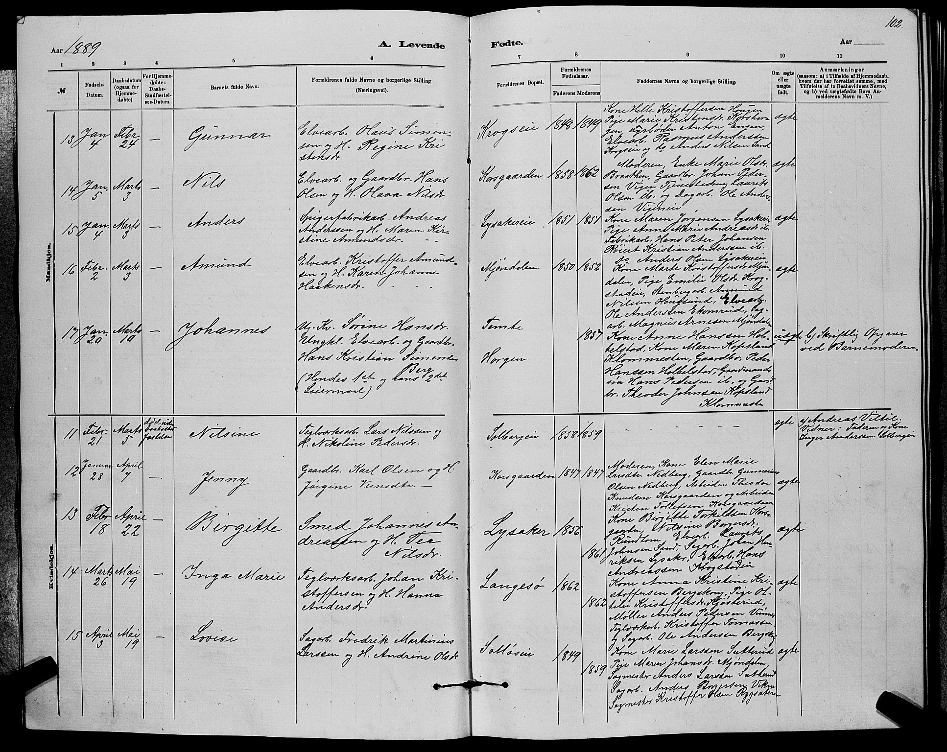 Nedre Eiker kirkebøker, AV/SAKO-A-612/G/Ga/L0002: Parish register (copy) no. 2, 1880-1896, p. 102