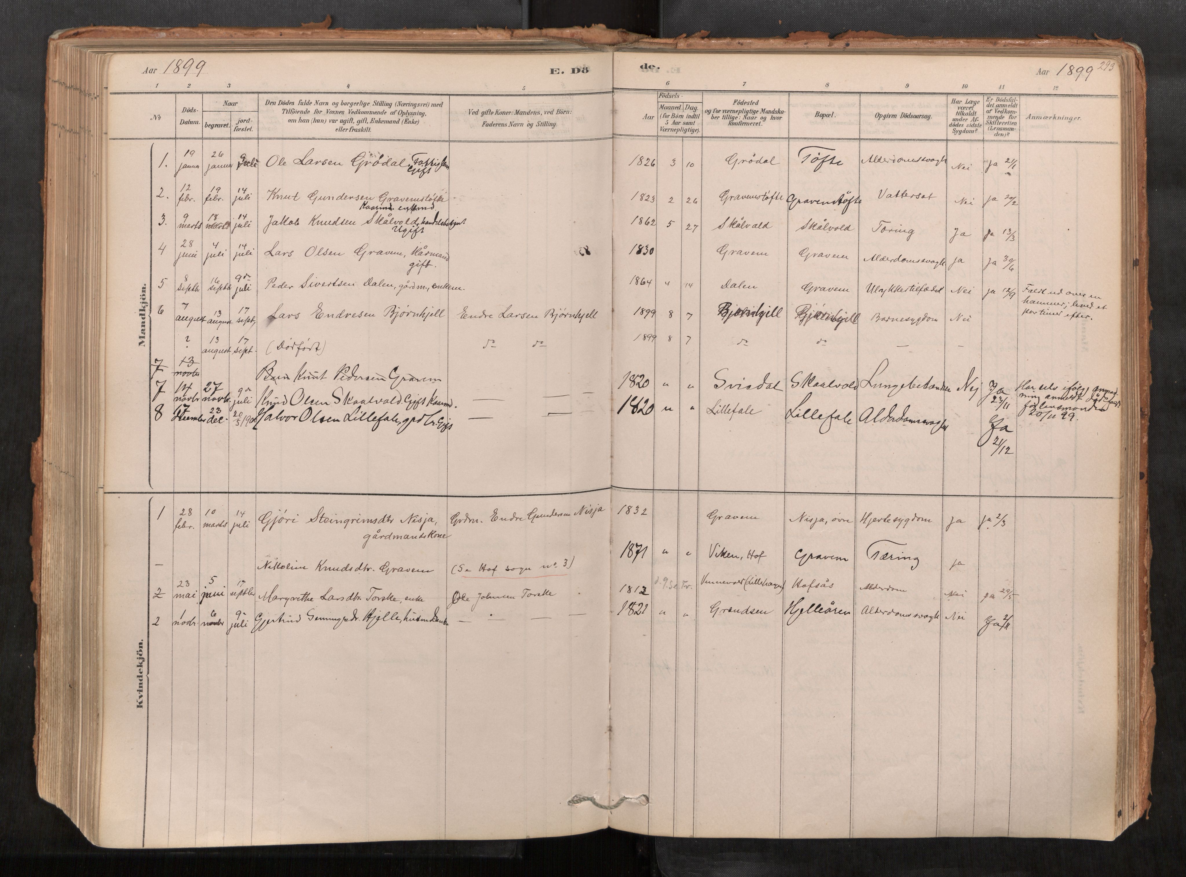 Sunndal sokneprestkontor, AV/SAT-A-1085/1/I/I1/I1a/L0001: Parish register (official) no. 1, 1877-1914, p. 293