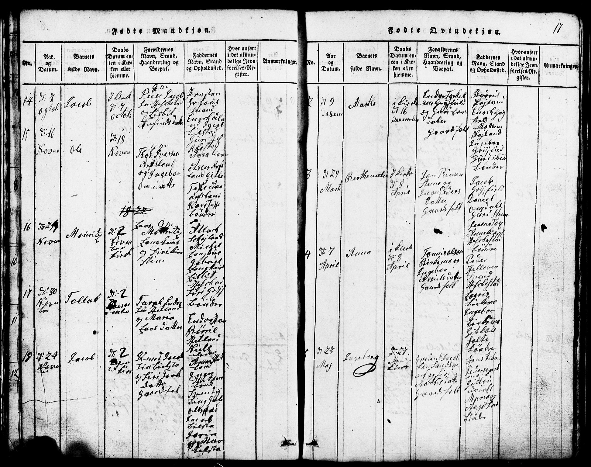 Lund sokneprestkontor, AV/SAST-A-101809/S07/L0001: Parish register (copy) no. B 1, 1815-1853, p. 17