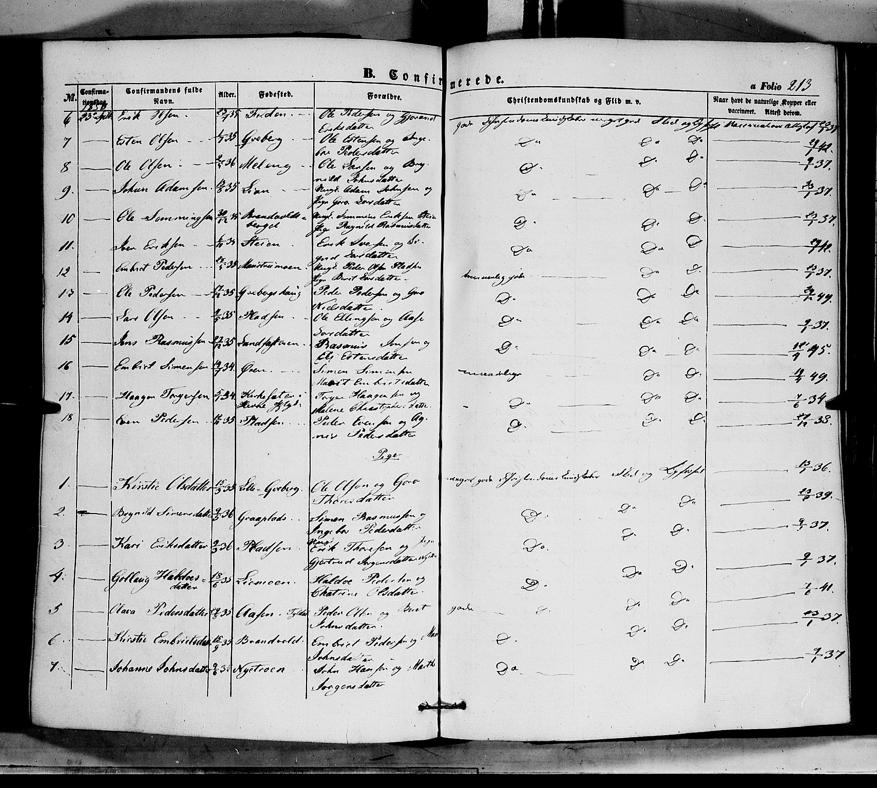 Tynset prestekontor, AV/SAH-PREST-058/H/Ha/Haa/L0020: Parish register (official) no. 20, 1848-1862, p. 213