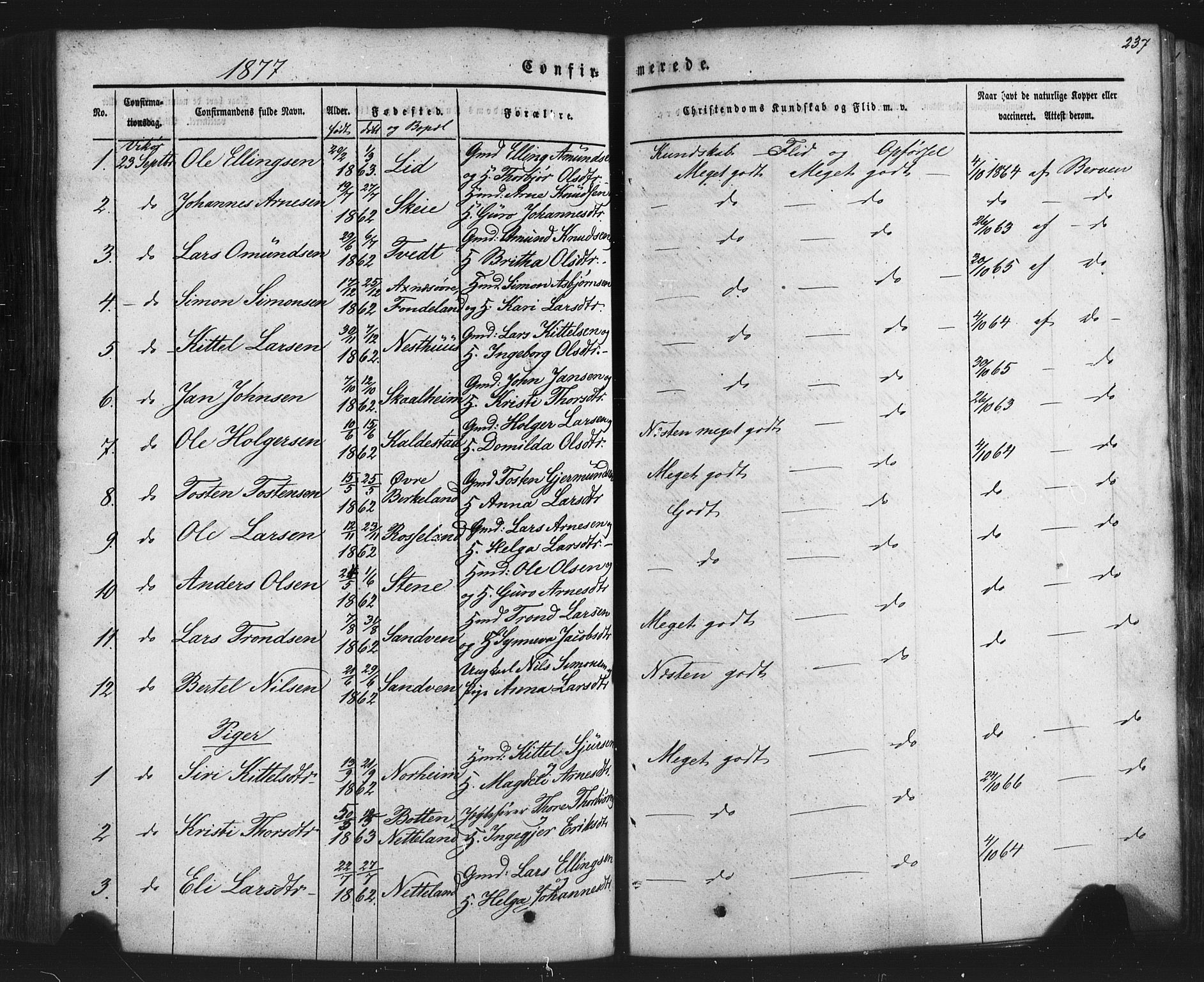 Kvam sokneprestembete, SAB/A-76201/H/Haa: Parish register (official) no. A 9, 1864-1879, p. 237