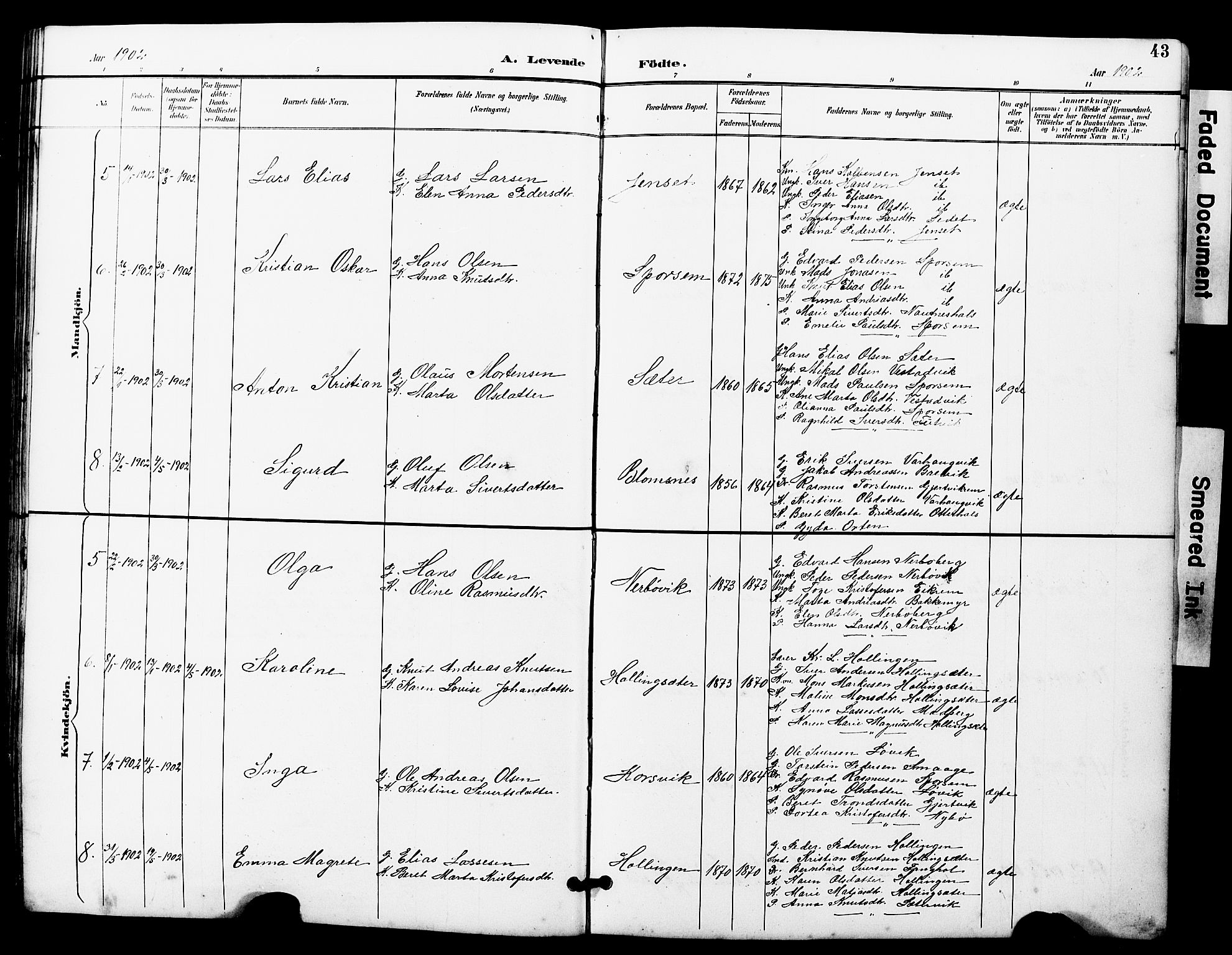 Ministerialprotokoller, klokkerbøker og fødselsregistre - Møre og Romsdal, AV/SAT-A-1454/560/L0725: Parish register (copy) no. 560C02, 1895-1930, p. 43