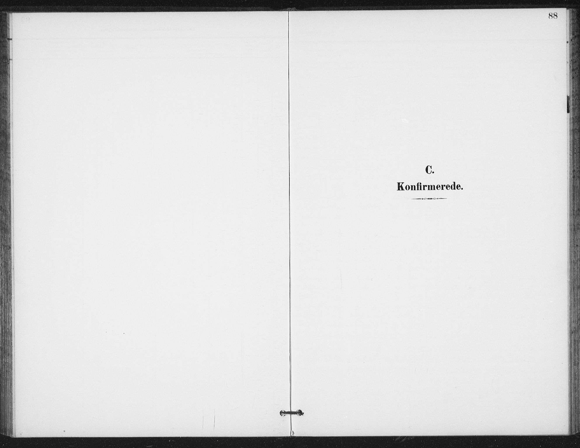 Ministerialprotokoller, klokkerbøker og fødselsregistre - Nord-Trøndelag, SAT/A-1458/714/L0131: Parish register (official) no. 714A02, 1896-1918, p. 88