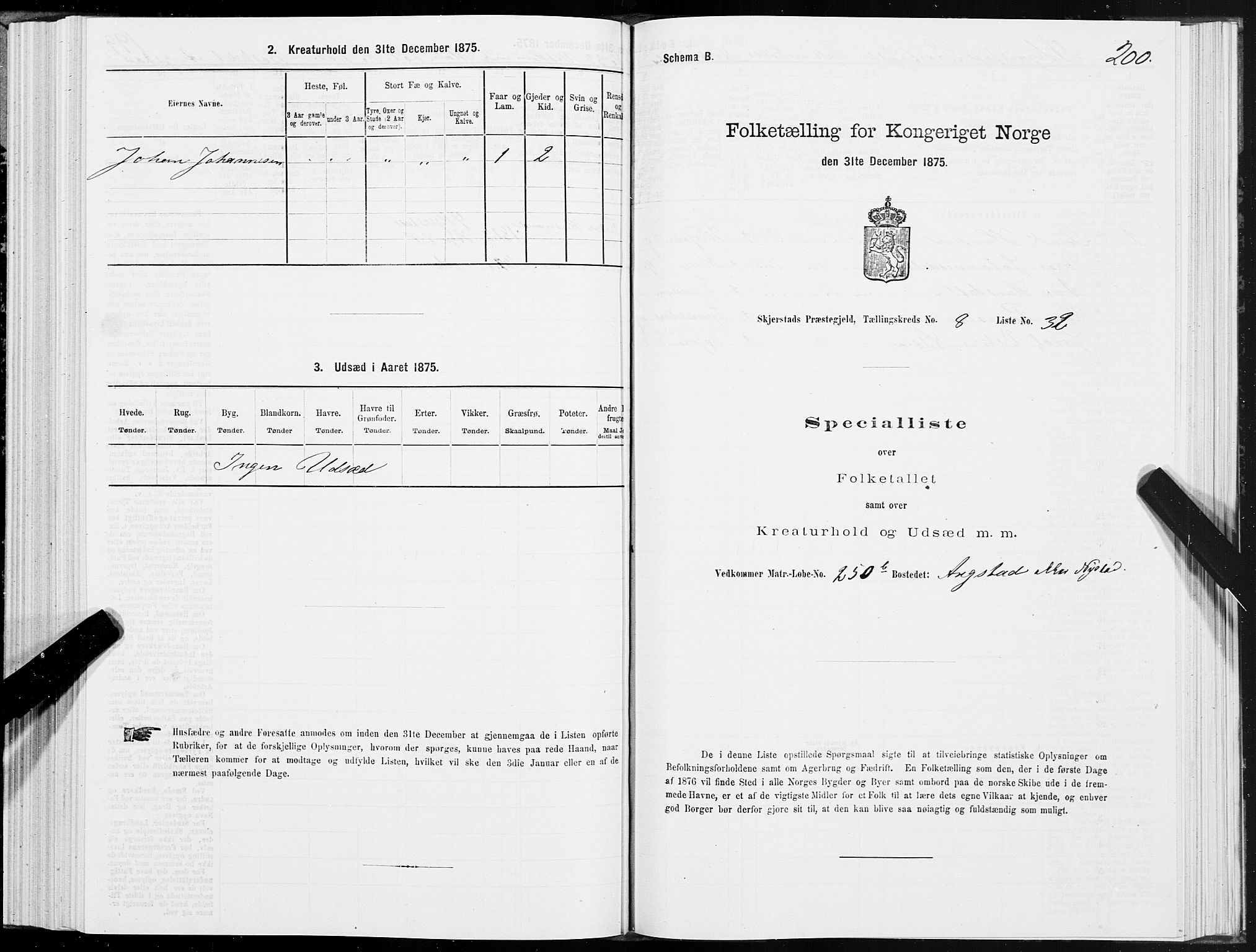 SAT, 1875 census for 1842P Skjerstad, 1875, p. 4200