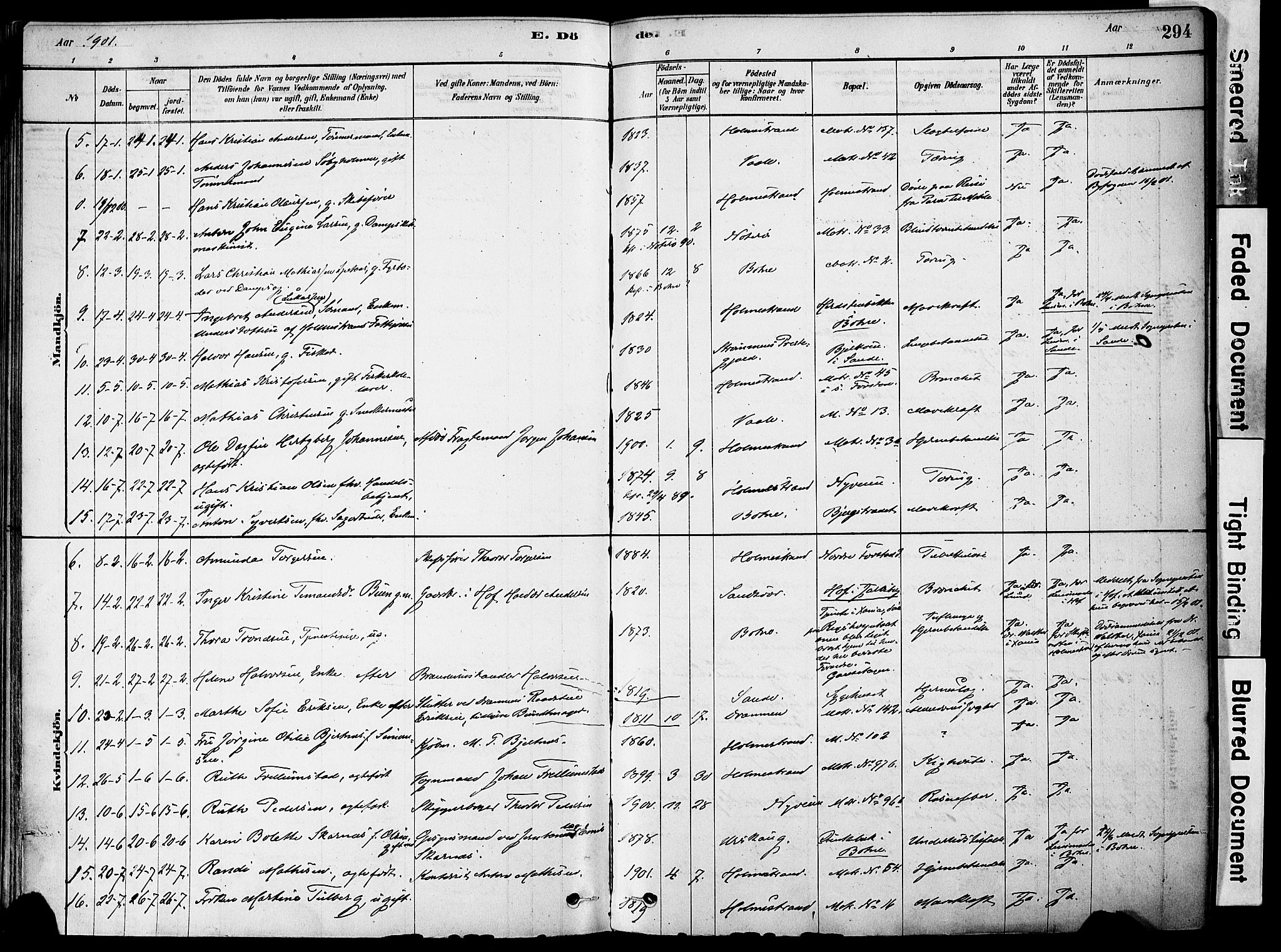 Holmestrand kirkebøker, AV/SAKO-A-346/F/Fa/L0004: Parish register (official) no. 4, 1880-1901, p. 294