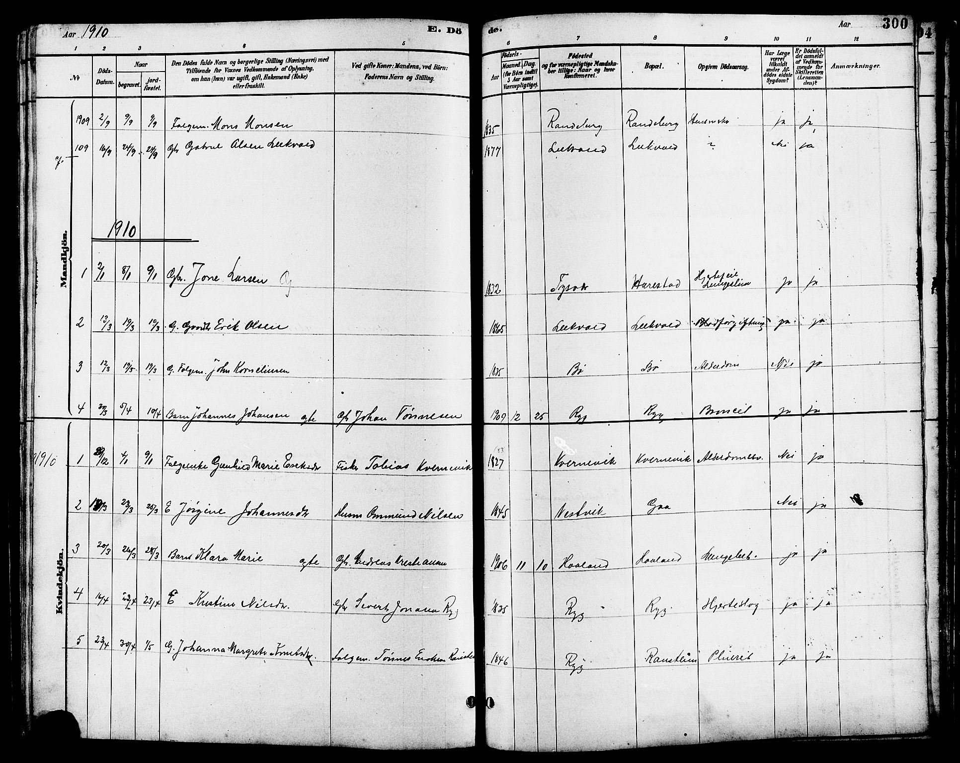 Hetland sokneprestkontor, SAST/A-101826/30/30BB/L0006: Parish register (copy) no. B 6, 1878-1921, p. 300