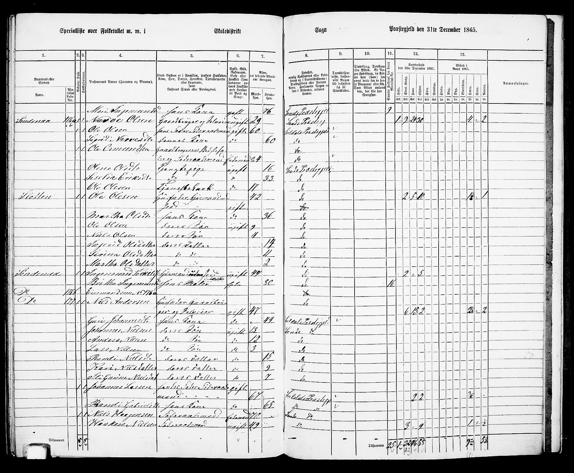 RA, 1865 census for Sand, 1865, p. 155