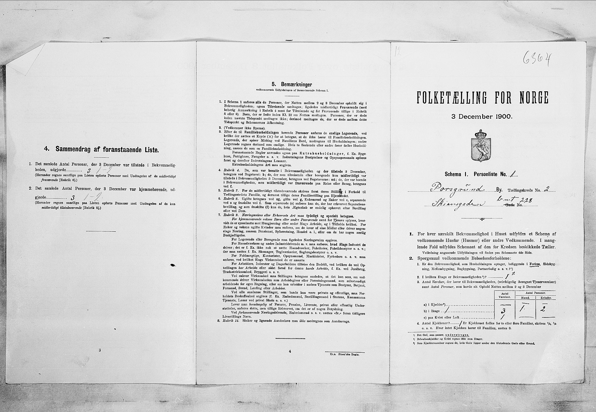 SAKO, 1900 census for Porsgrunn, 1900, p. 206