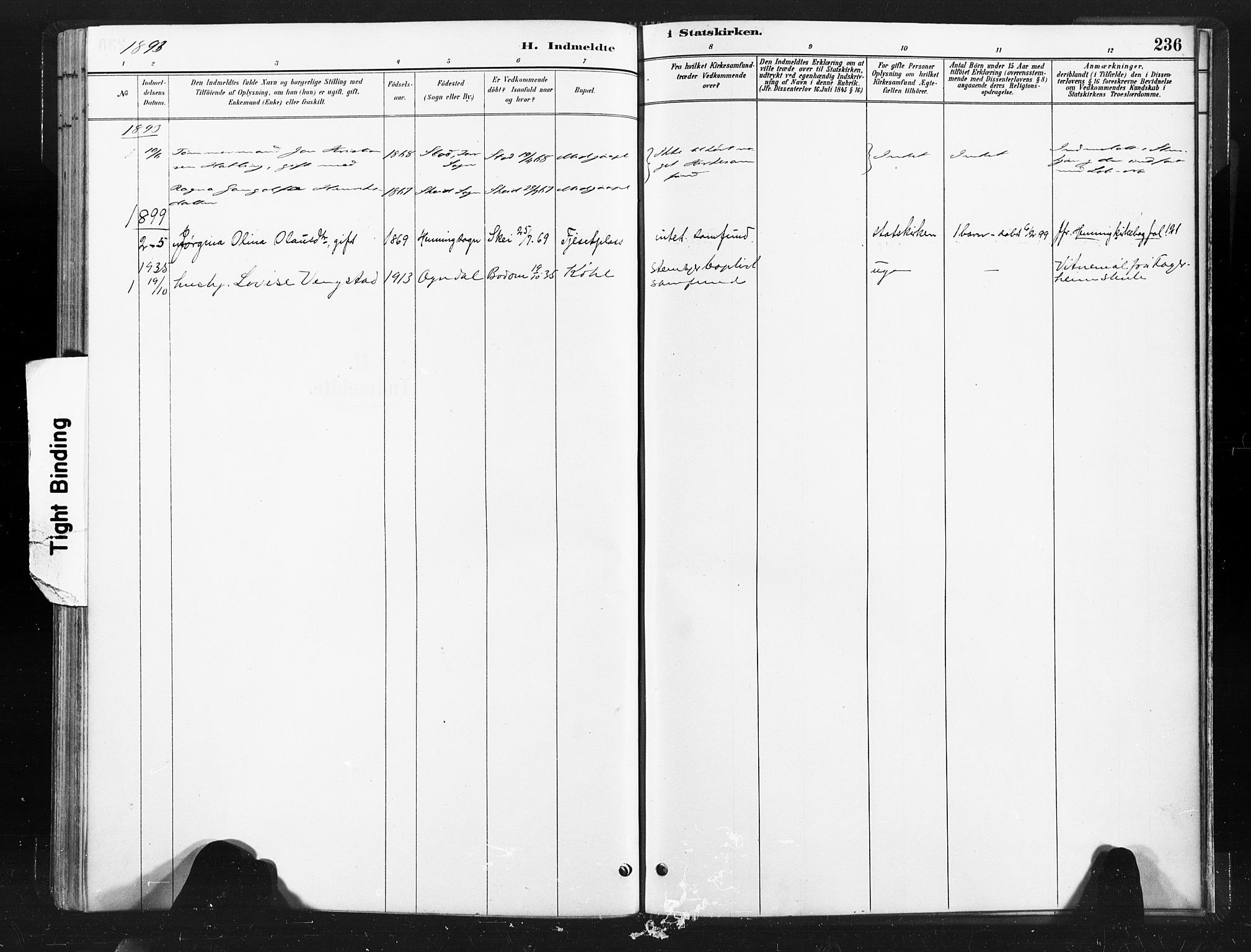 Ministerialprotokoller, klokkerbøker og fødselsregistre - Nord-Trøndelag, SAT/A-1458/736/L0361: Parish register (official) no. 736A01, 1884-1906, p. 236