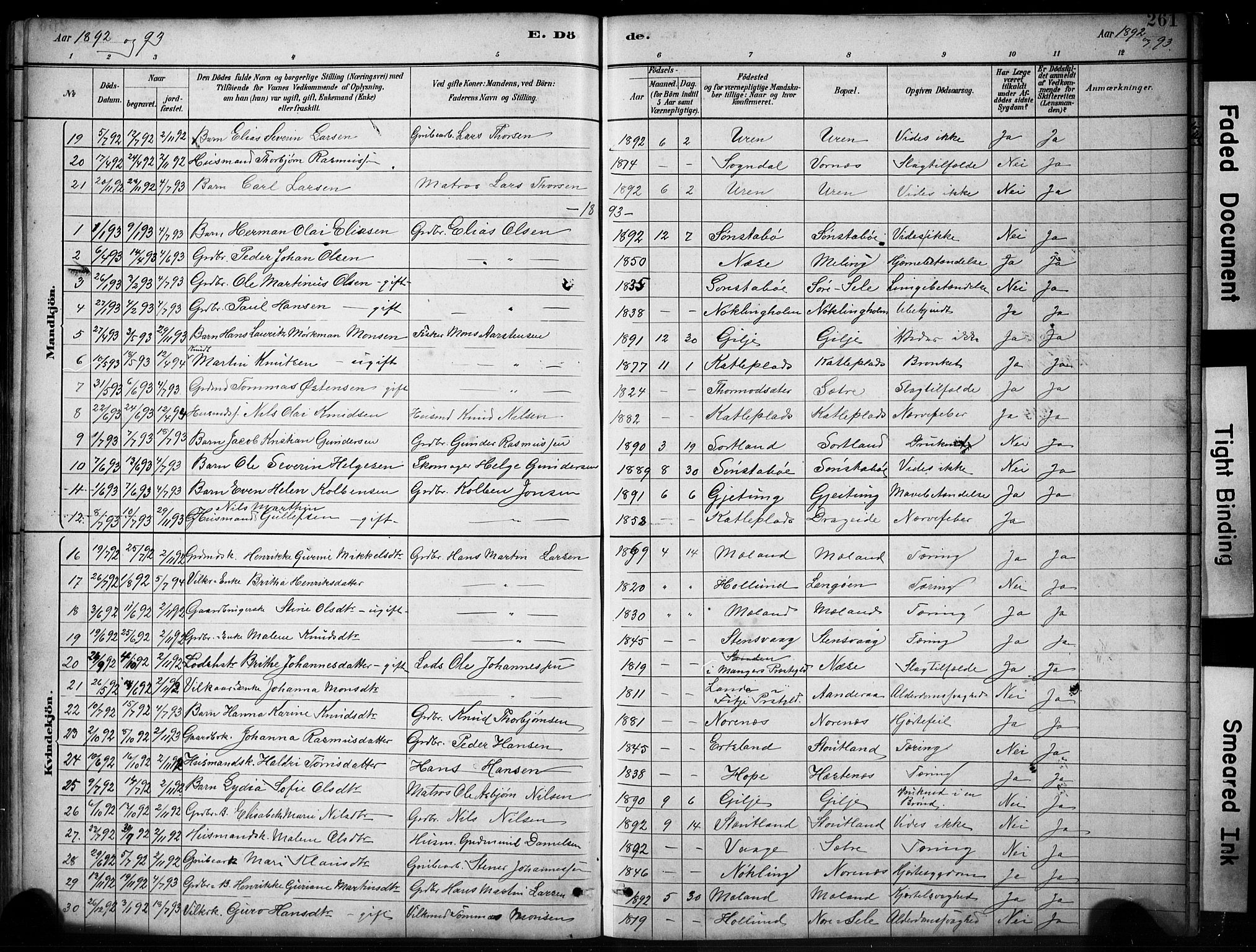 Finnås sokneprestembete, SAB/A-99925/H/Ha/Hab/Habb/L0003: Parish register (copy) no. B 3, 1882-1897, p. 261