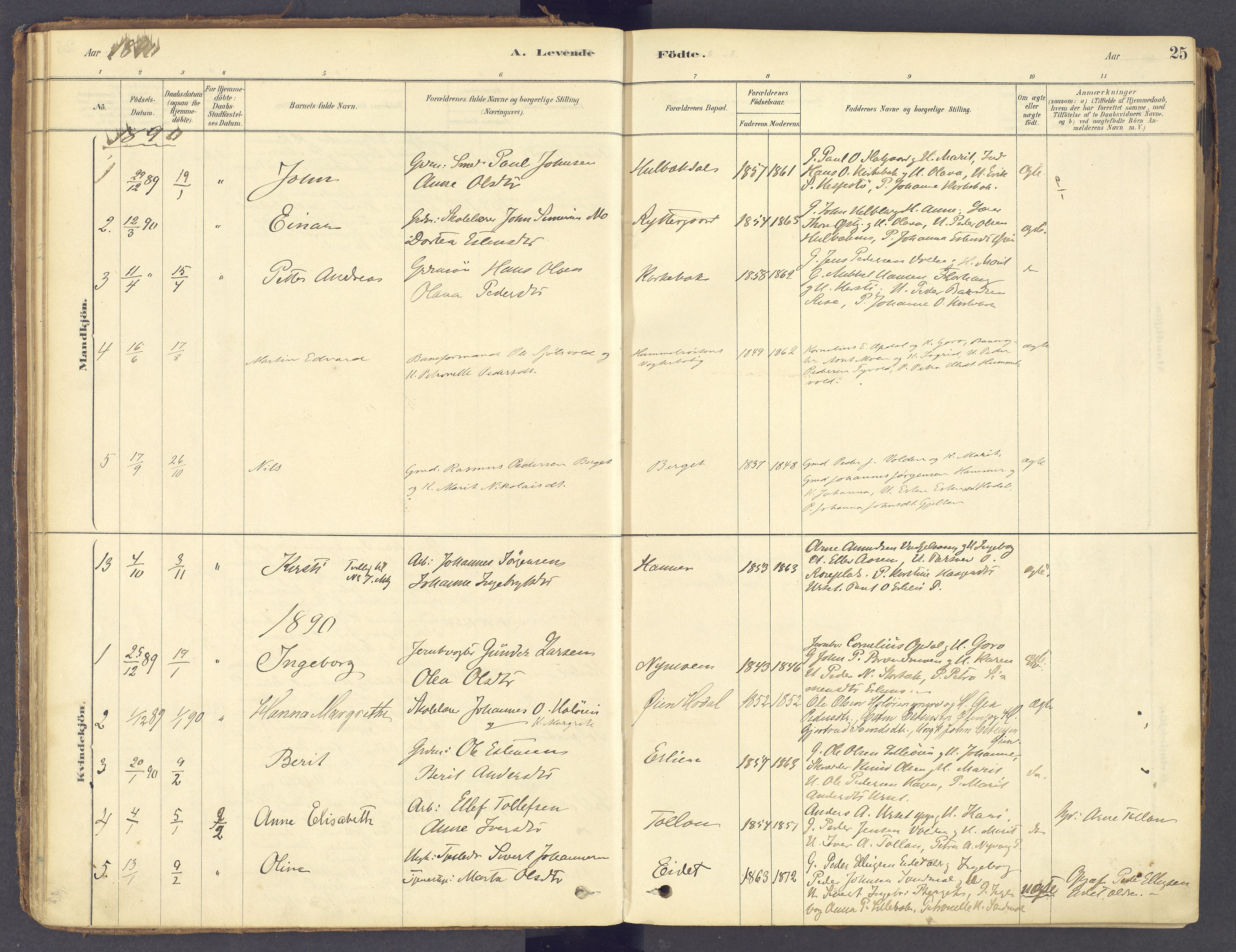 Tolga prestekontor, AV/SAH-PREST-062/K/L0011: Parish register (official) no. 11, 1877-1920, p. 25